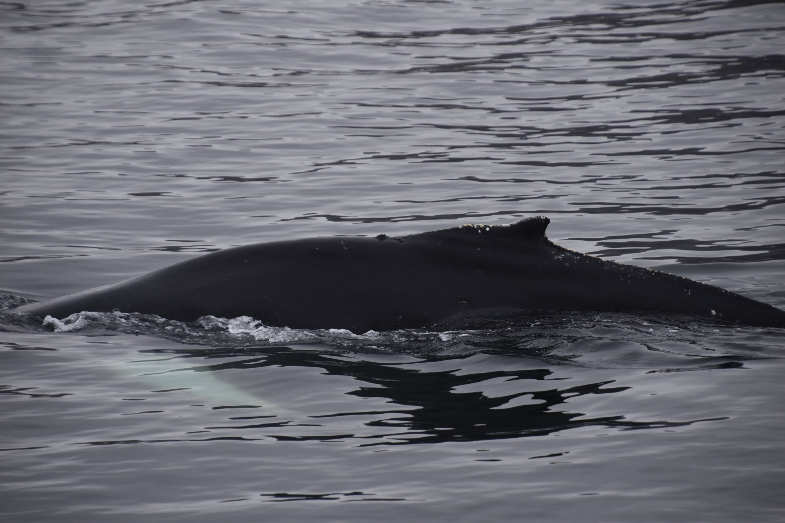 Tuesday,  25 April 2023