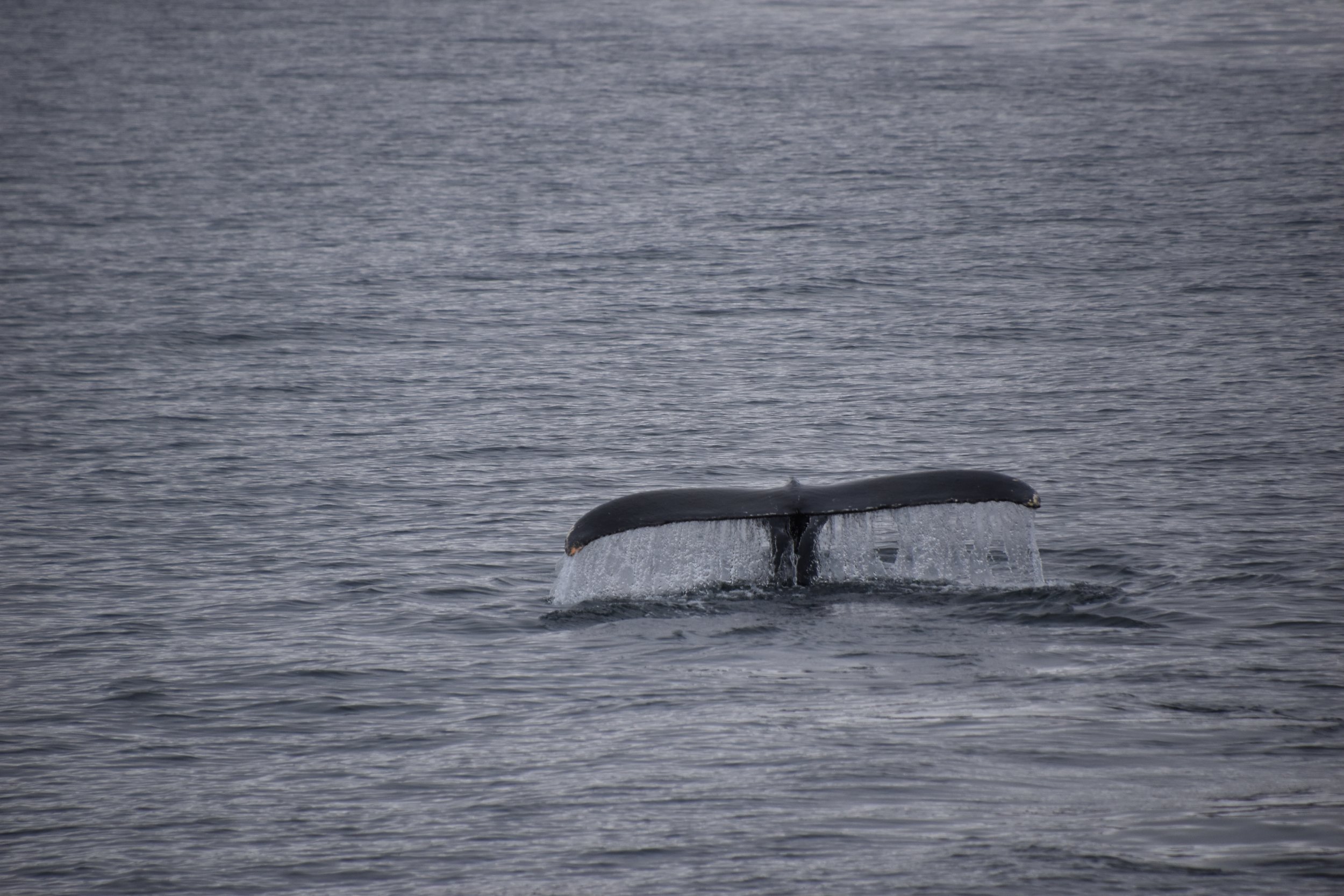 Tuesday,  25 April 2023