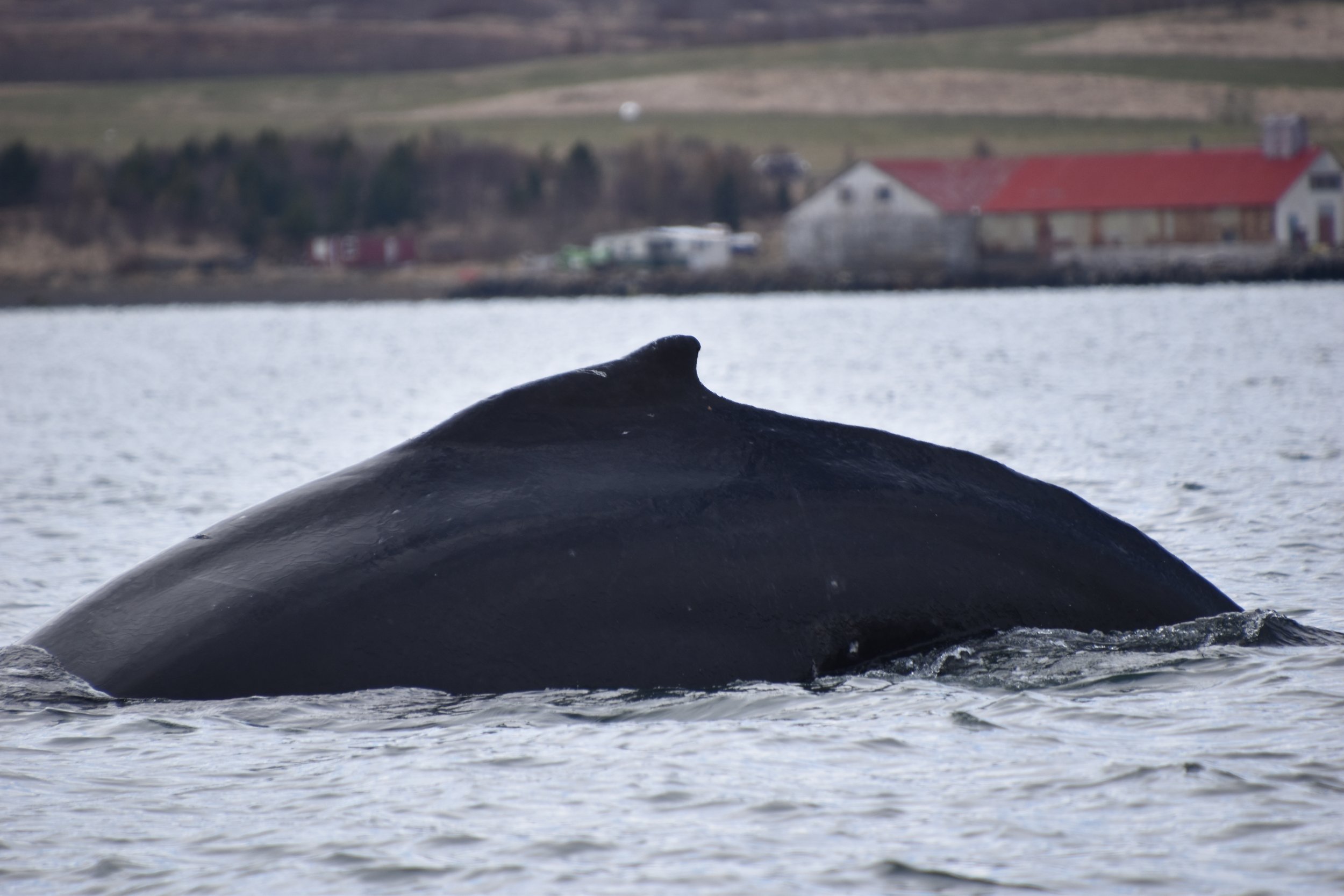 Tuesday,  25 April 2023