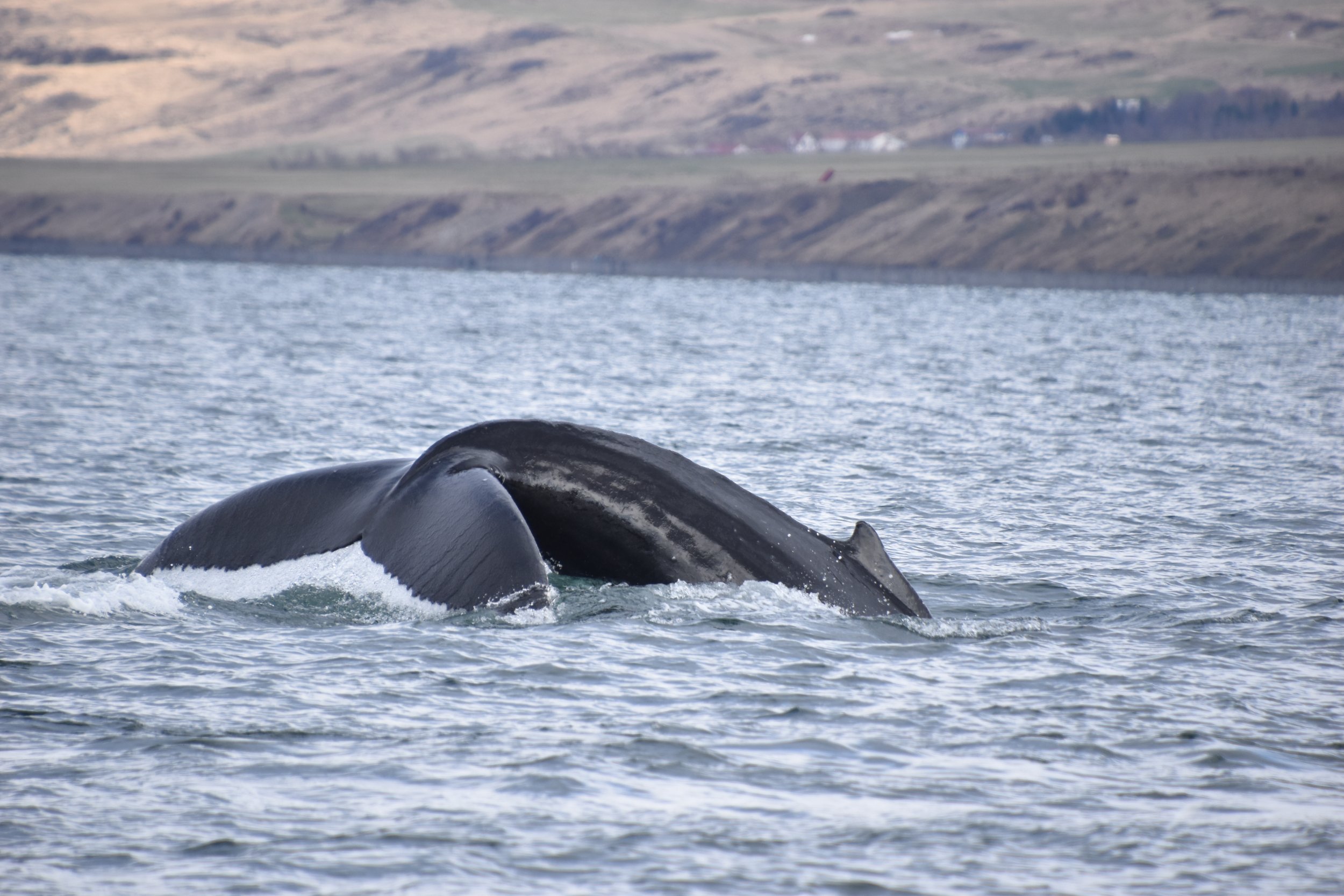 Wednesday, 26 April 2023