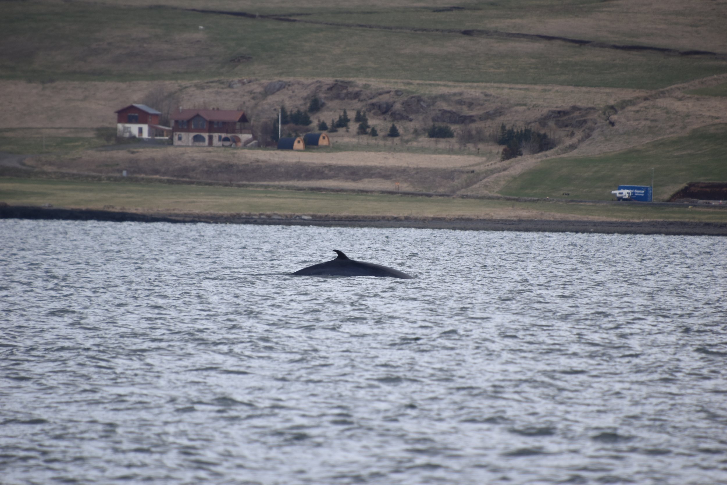 Wednesday, 26 April 2023