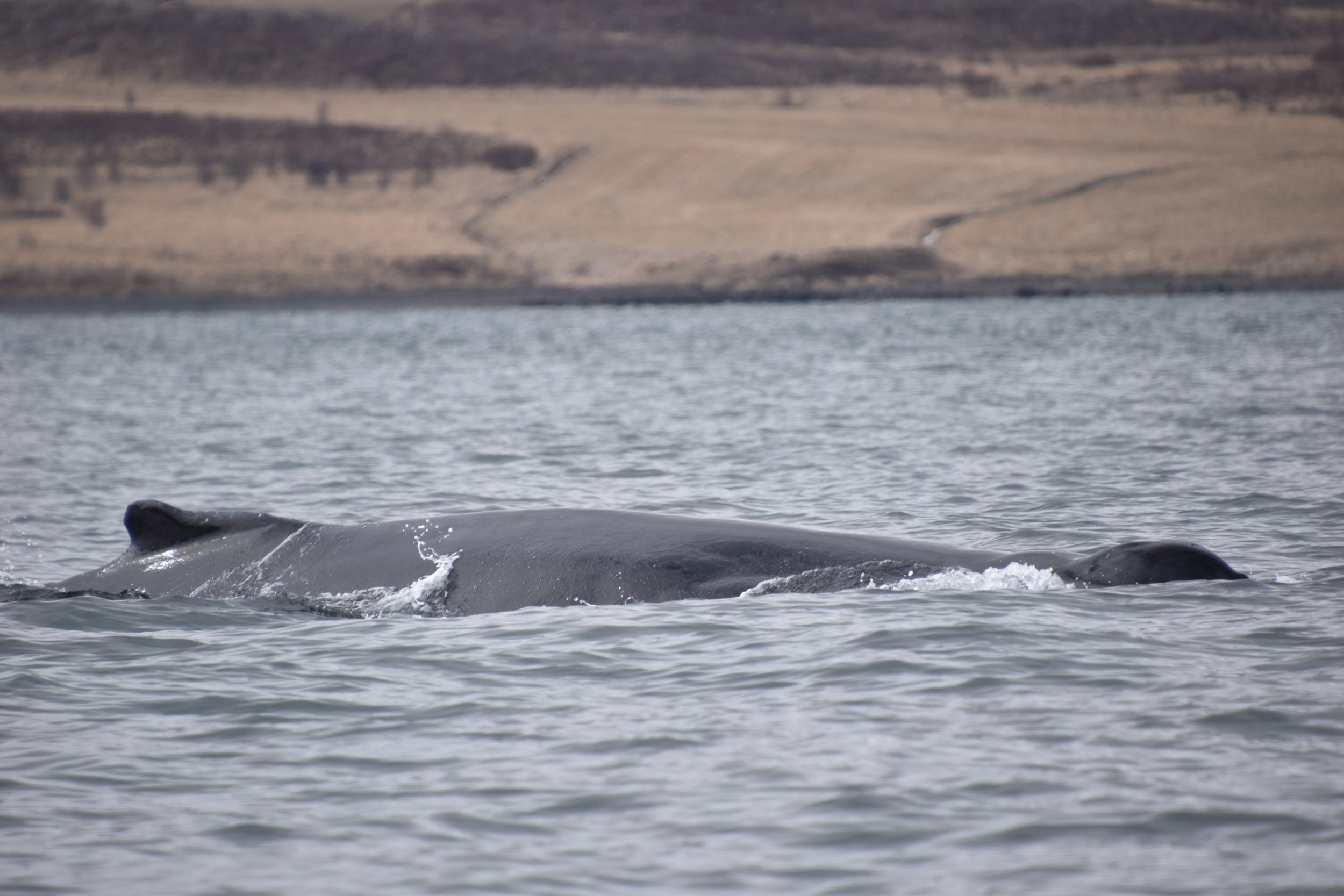 Wednesday, 26 April 2023