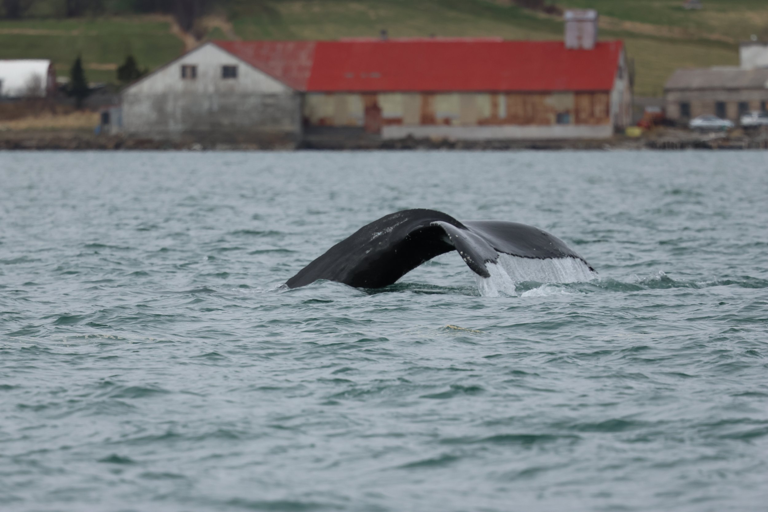 Tuesday, 9 May 2023