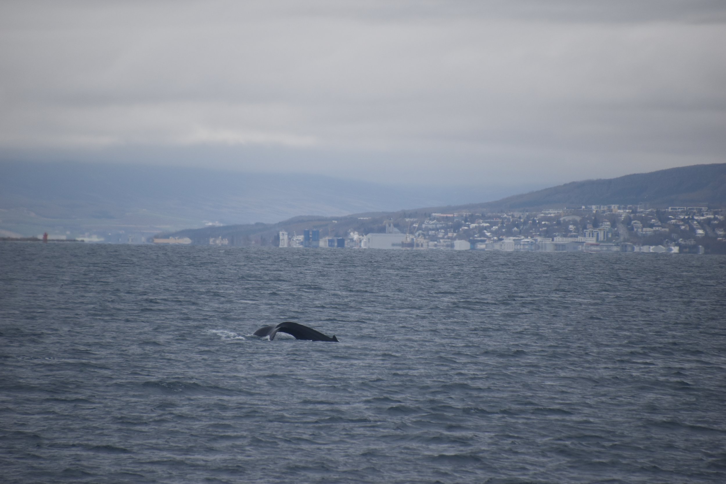 Wednesday, 10 May 2023