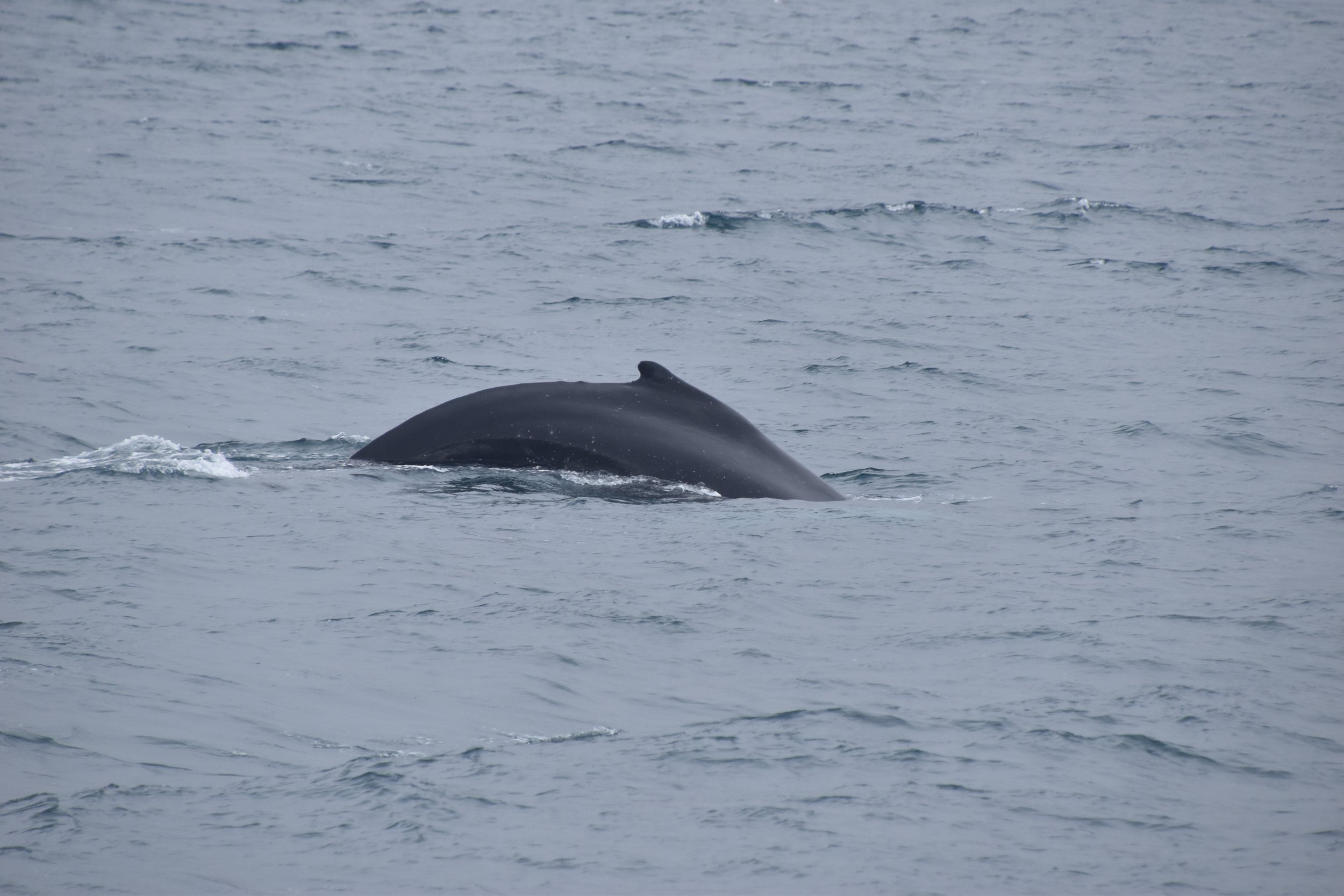 Wednesday, 10 May 2023