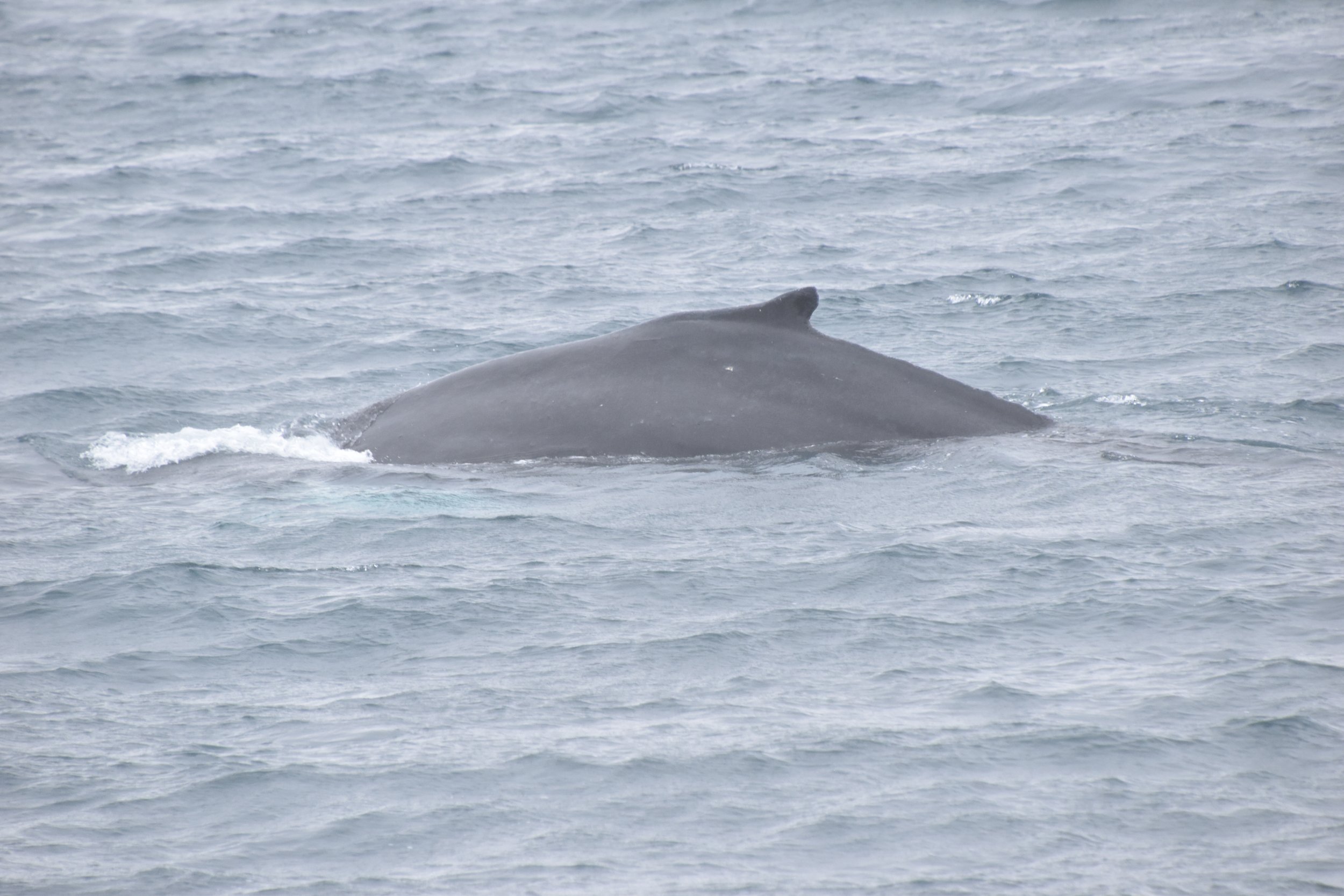 Wednesday, 10 May 2023