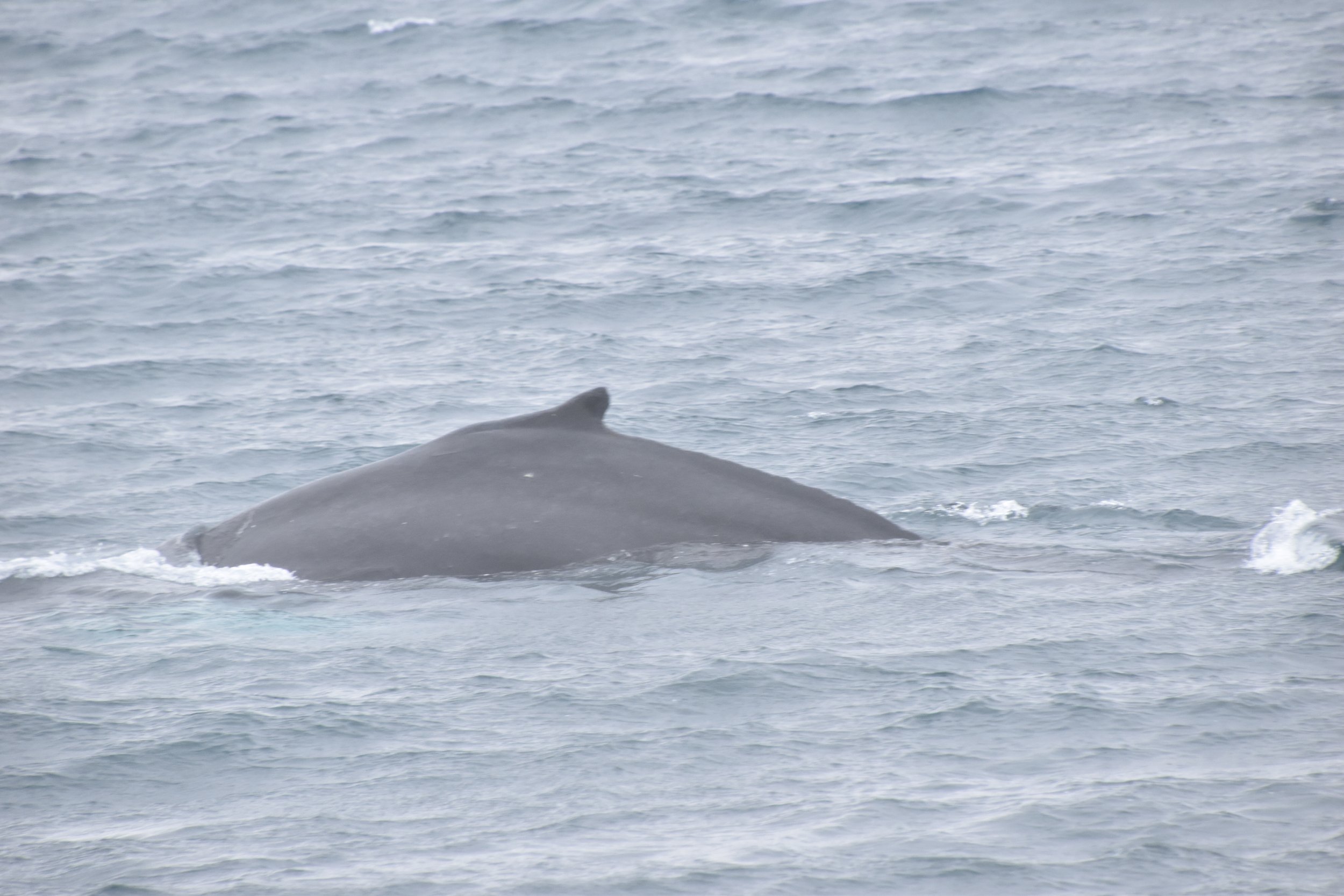 Wednesday, 10 May 2023