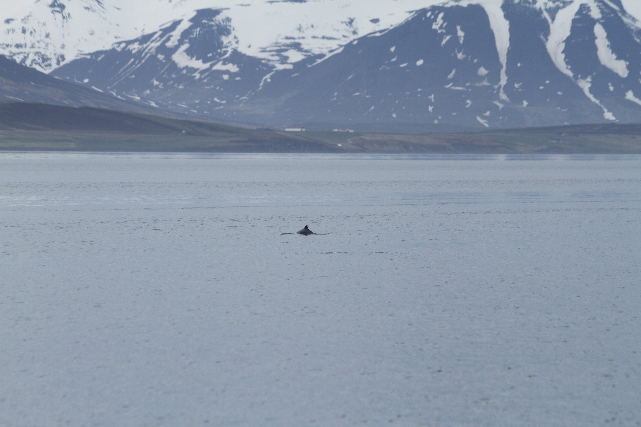 Thursday, 18 May 2023