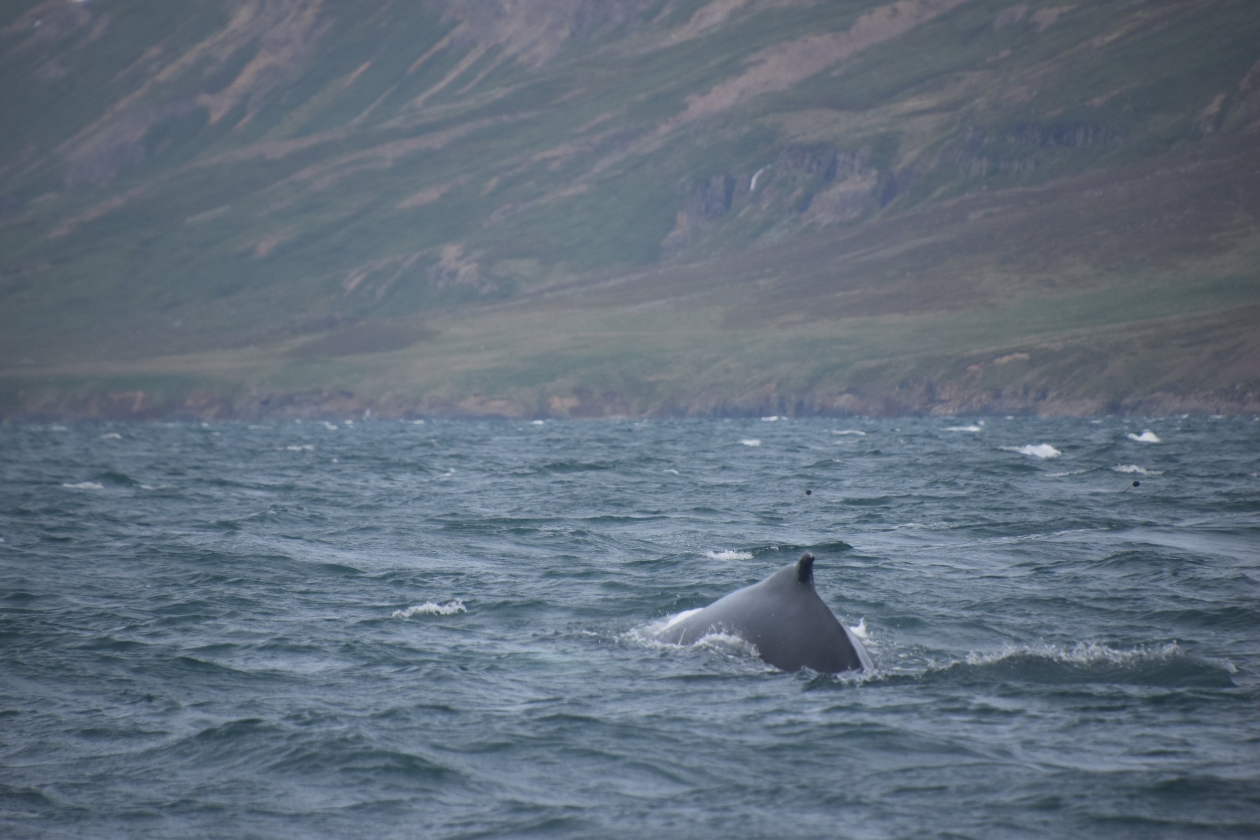 Wednesday, 7 June 2023