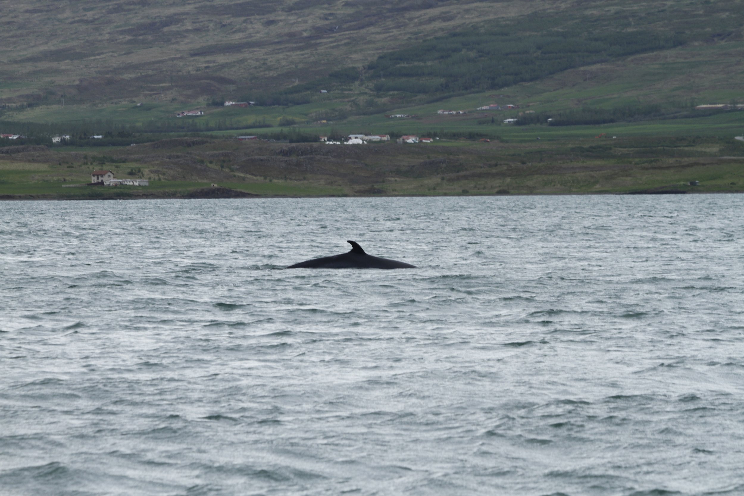 Thursday, 8 June 2023