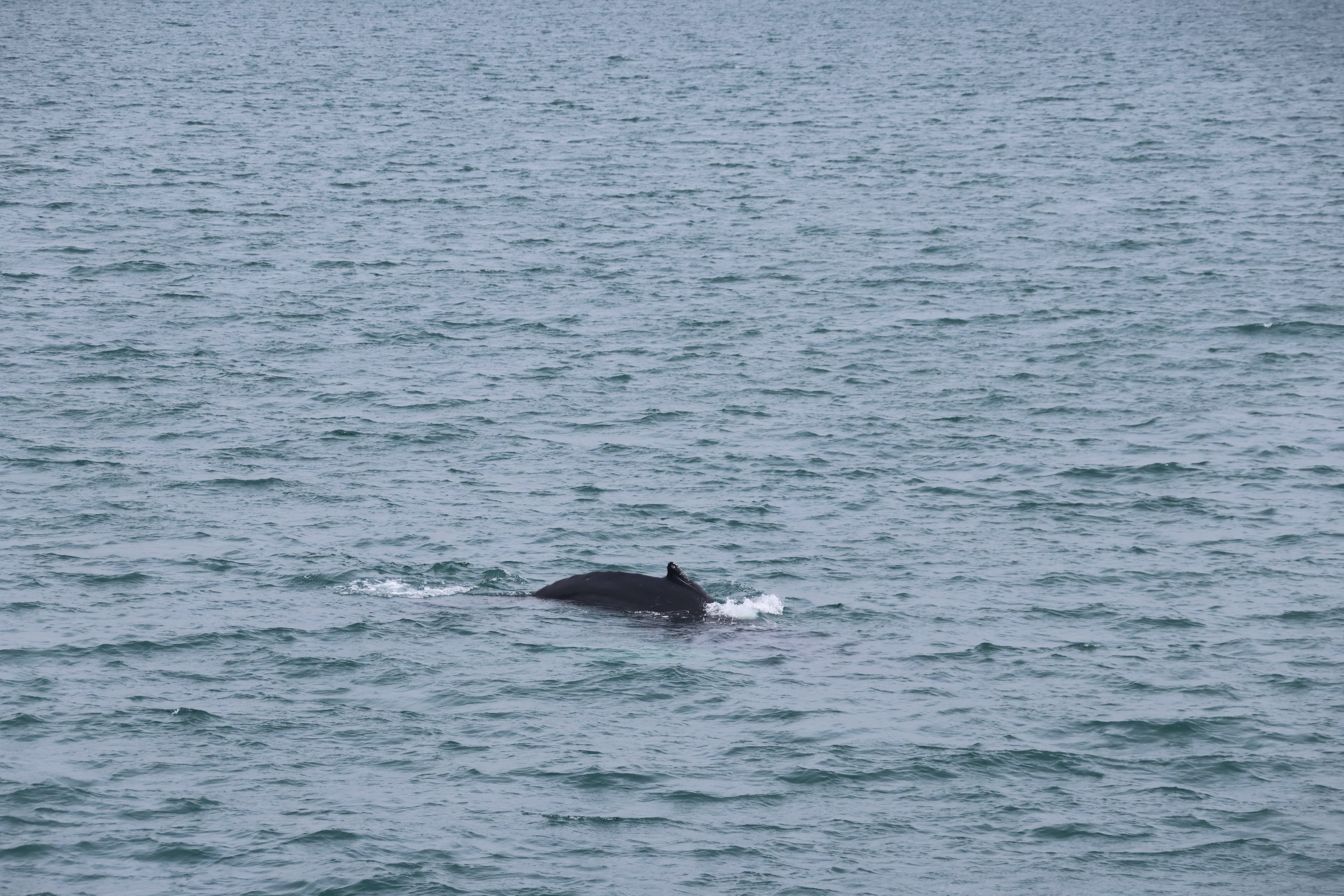Monday, 19 June 2023