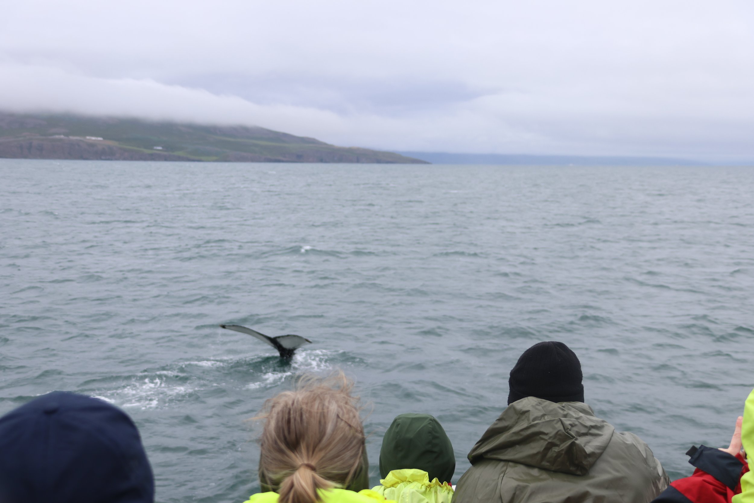 Tuesday, 20 June 2023