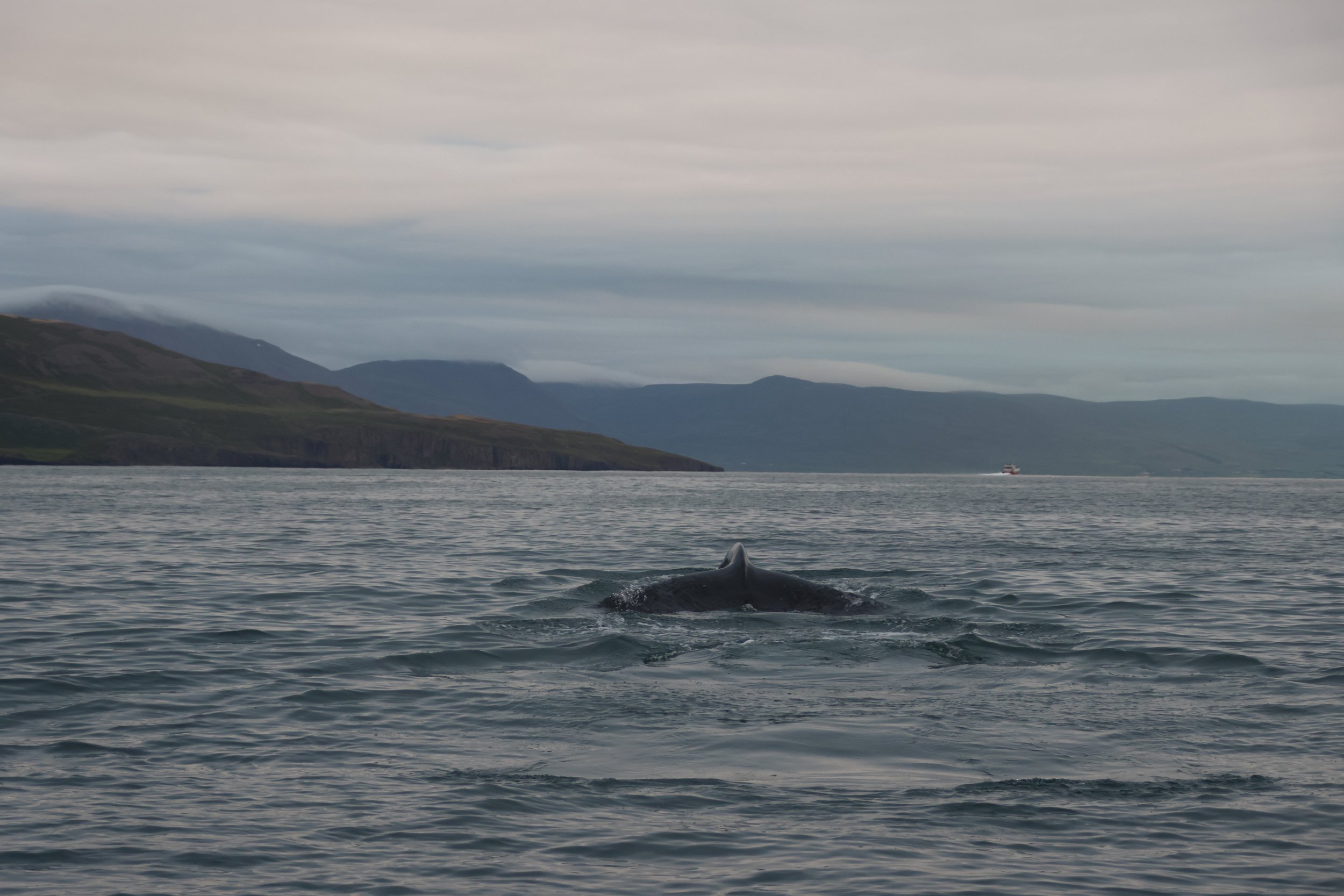 Wednesday, 21 June 2023