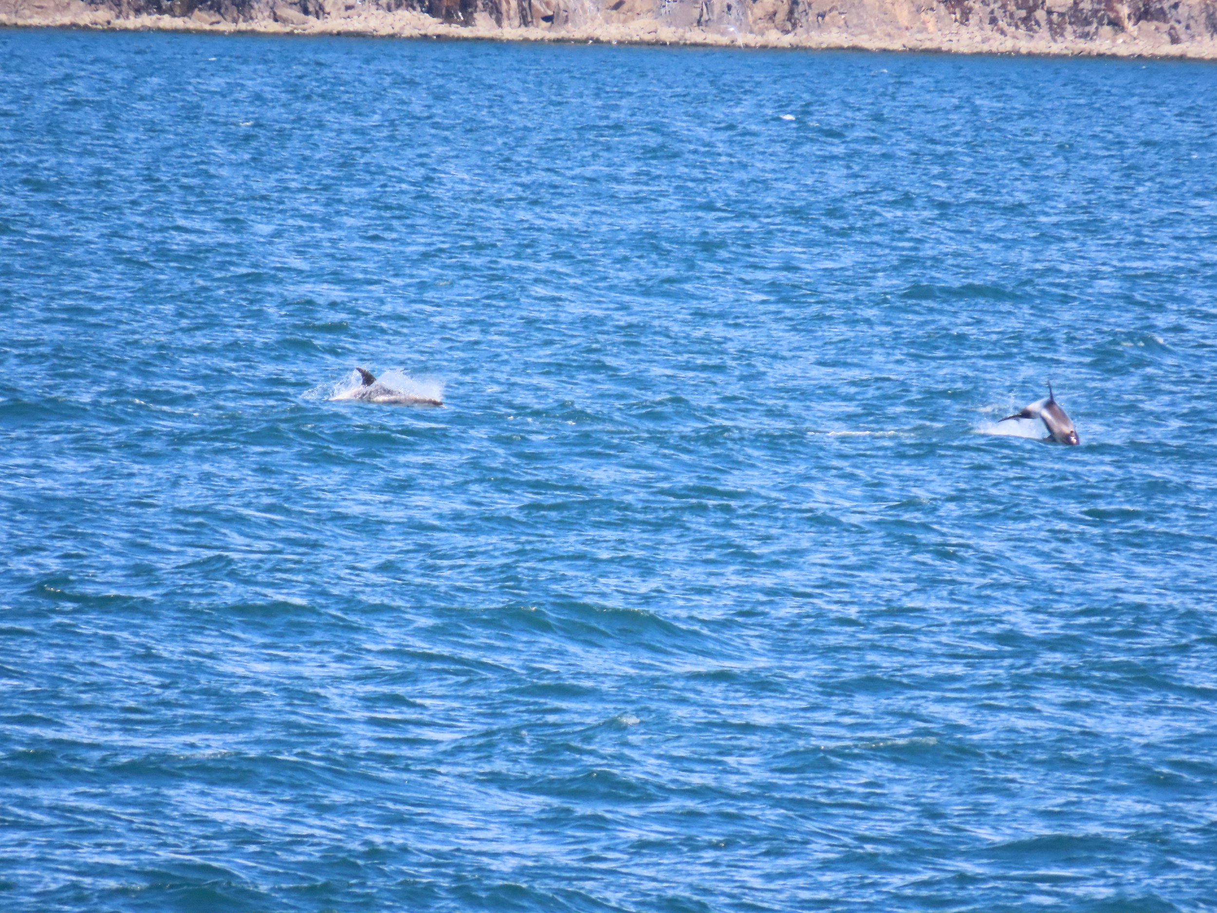Thursday, 22 June 2023