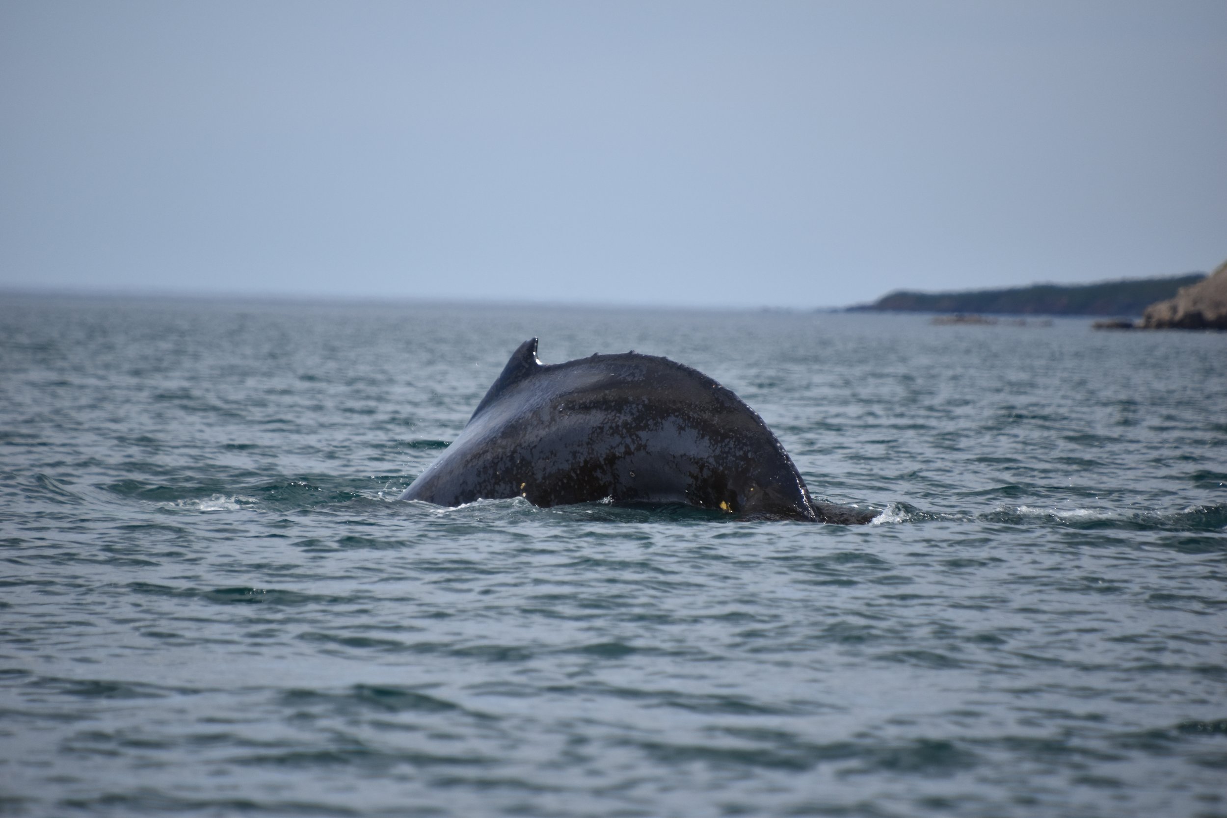 Monday, 26 June 2023
