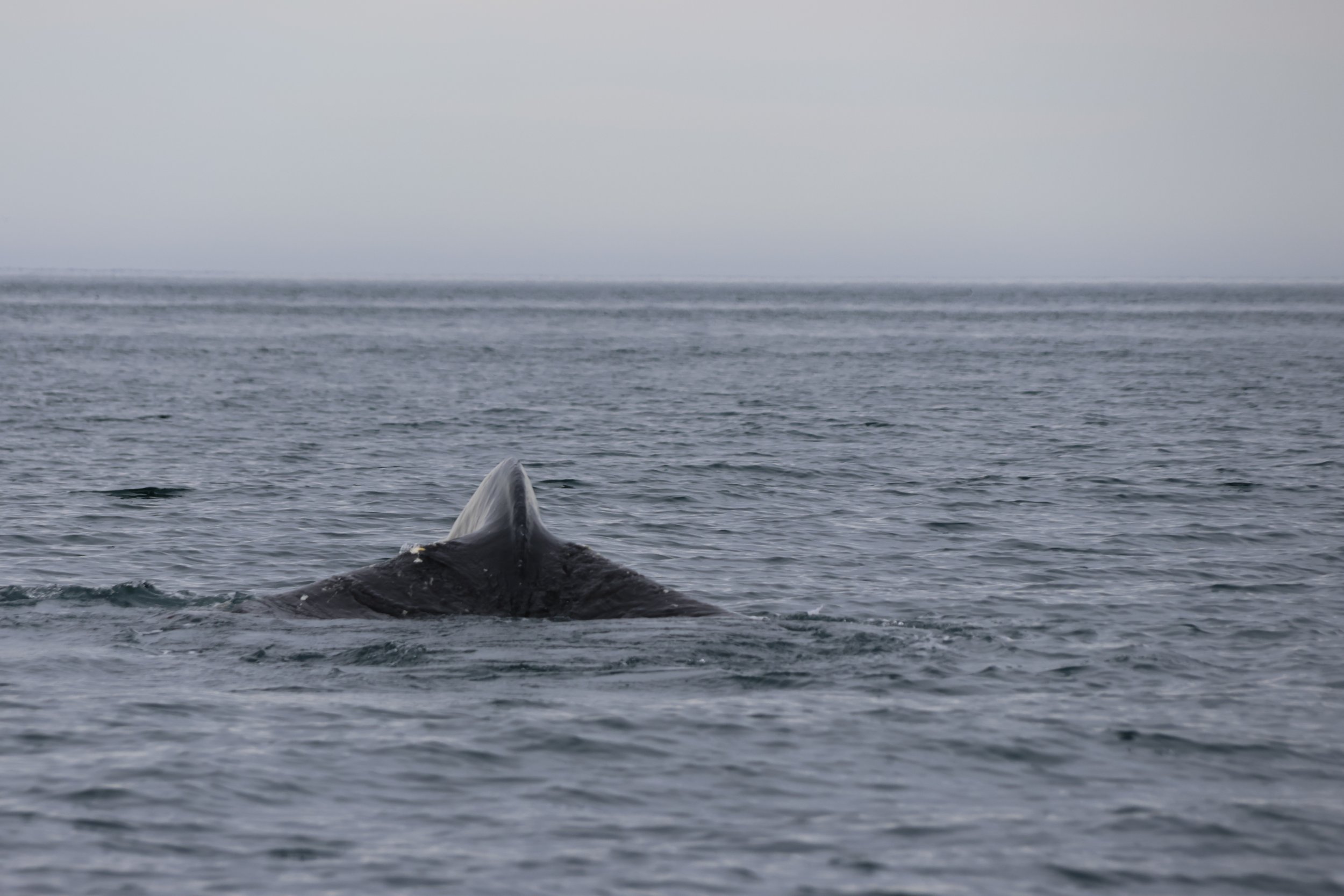 Tuesday, 27 June 2023