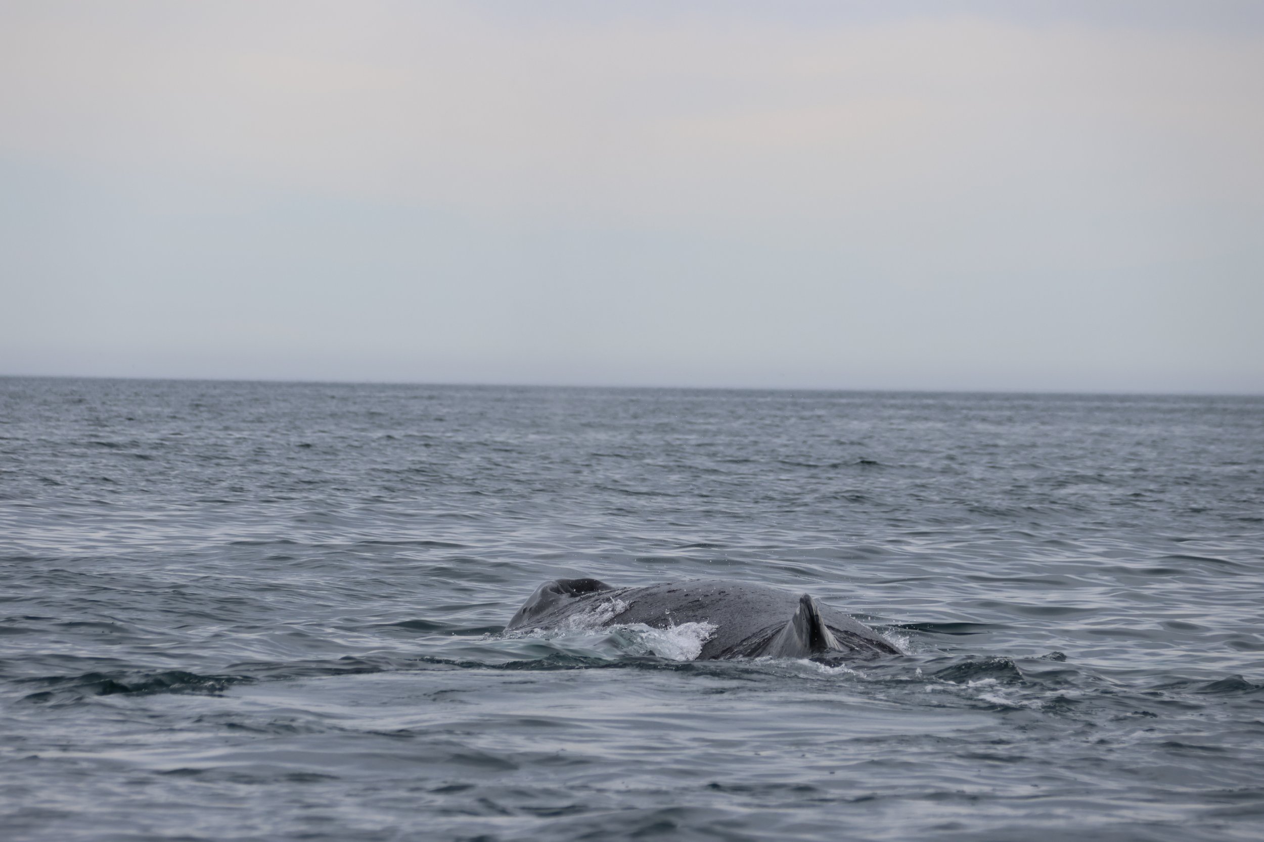Tuesday, 27 June 2023