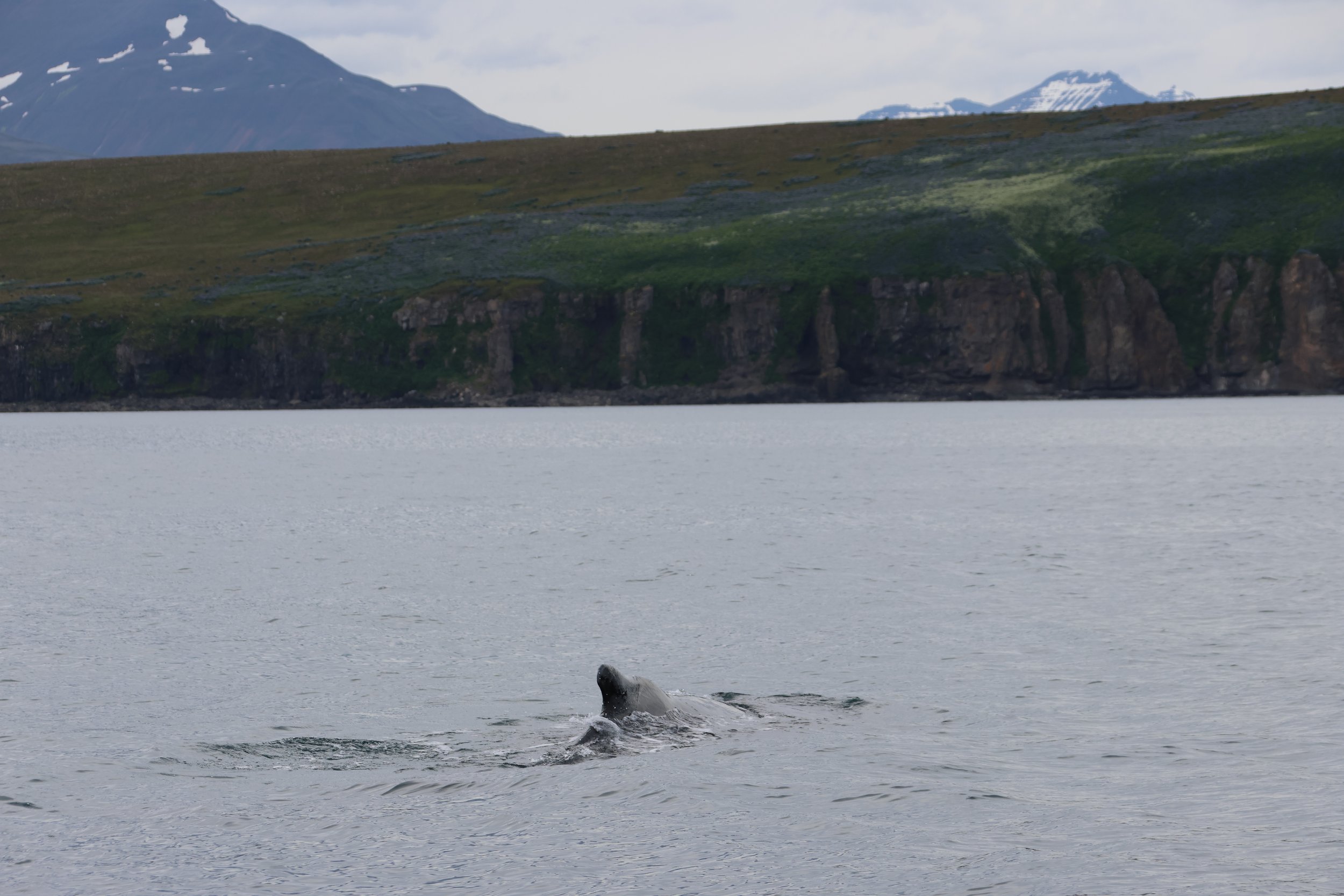 Tuesday, 27 June 2023