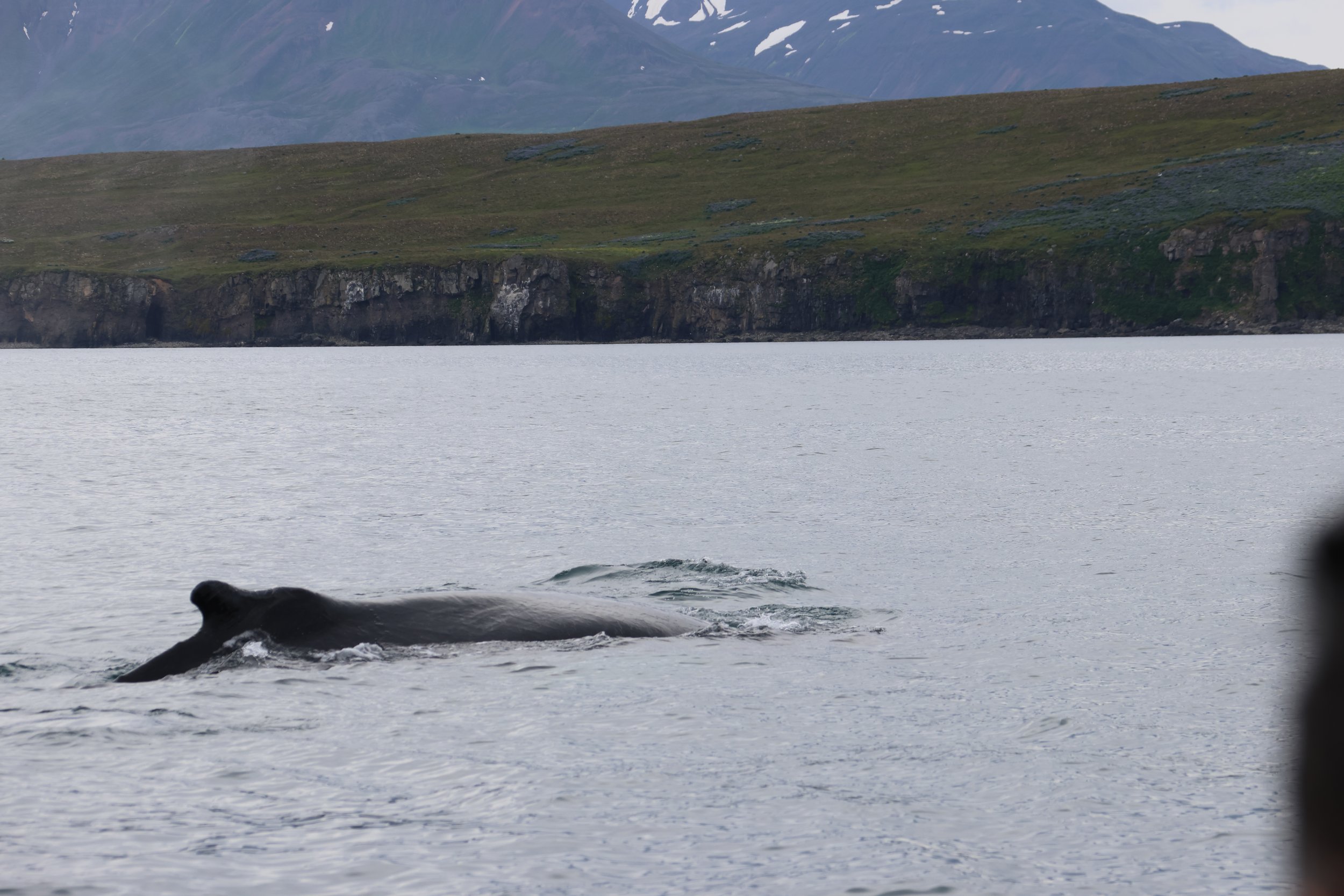 Tuesday, 27 June 2023