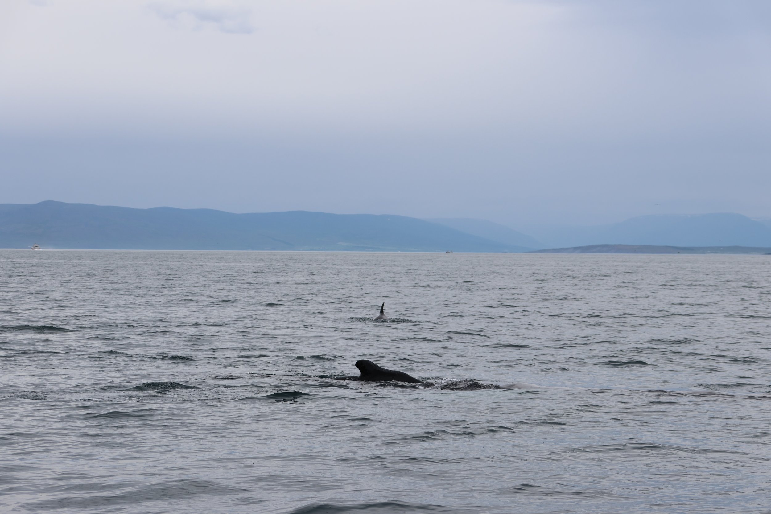 Tuesday, 27 June 2023