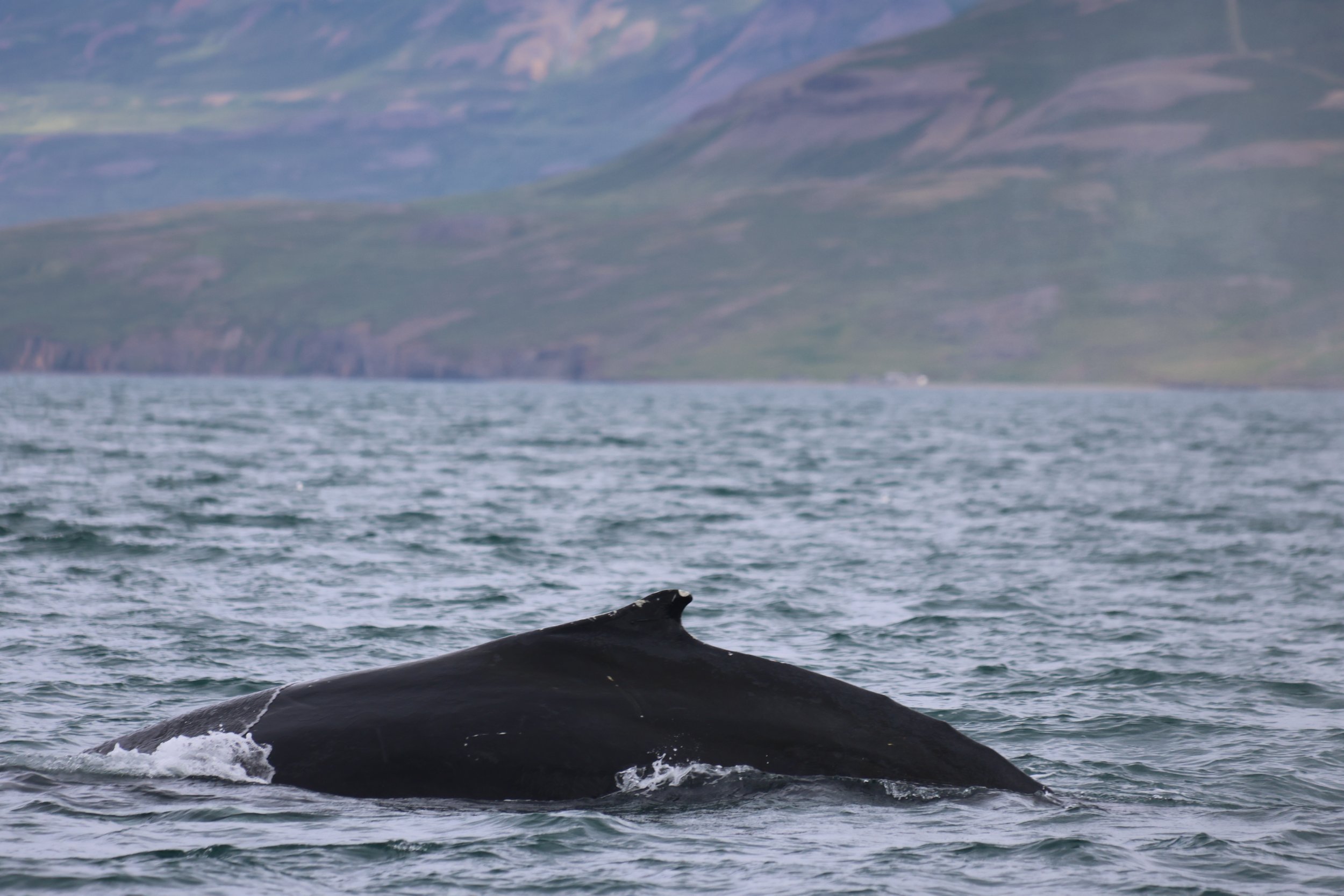 Wednesday, 28 June 2023