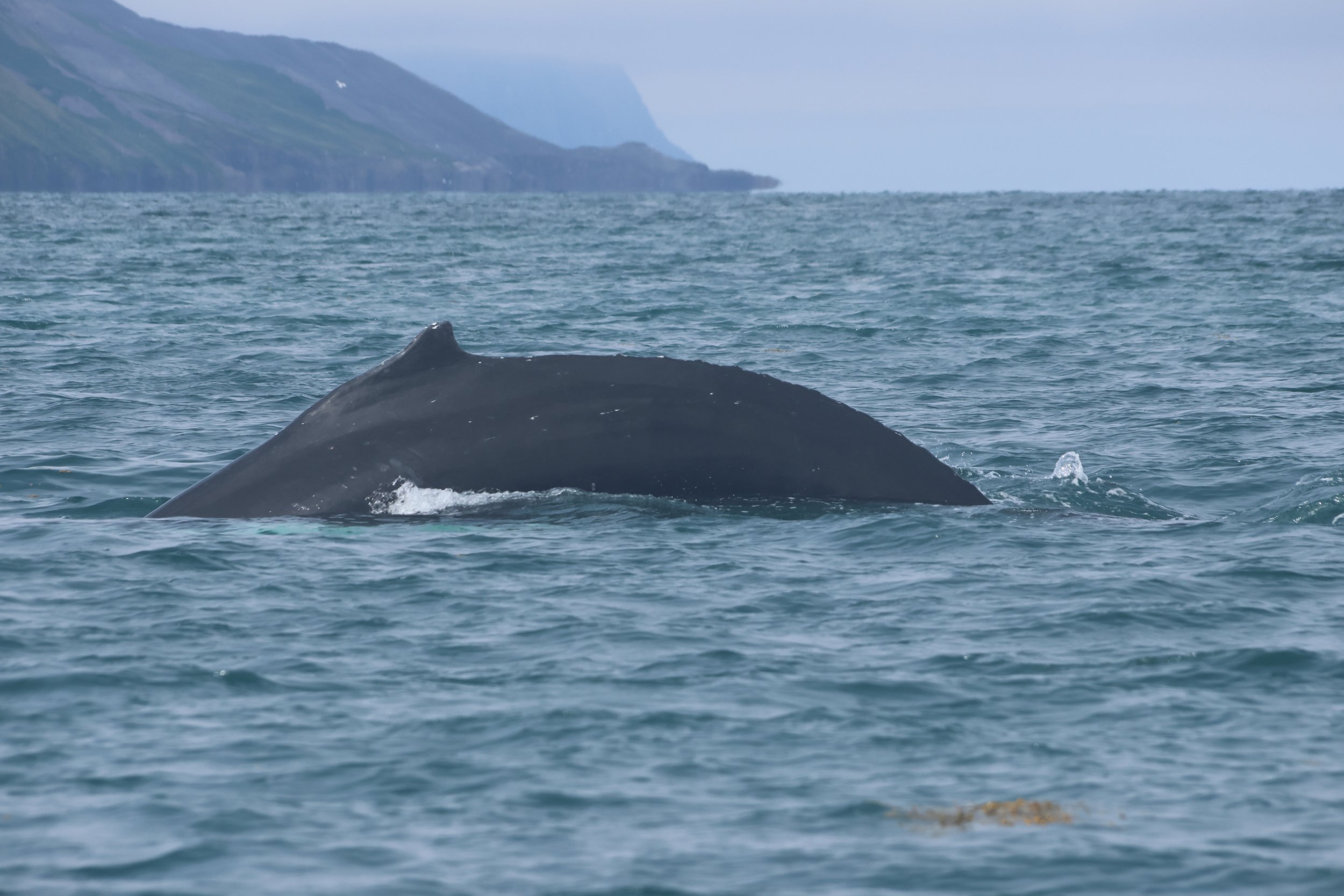 Thursday, 20 July 2023