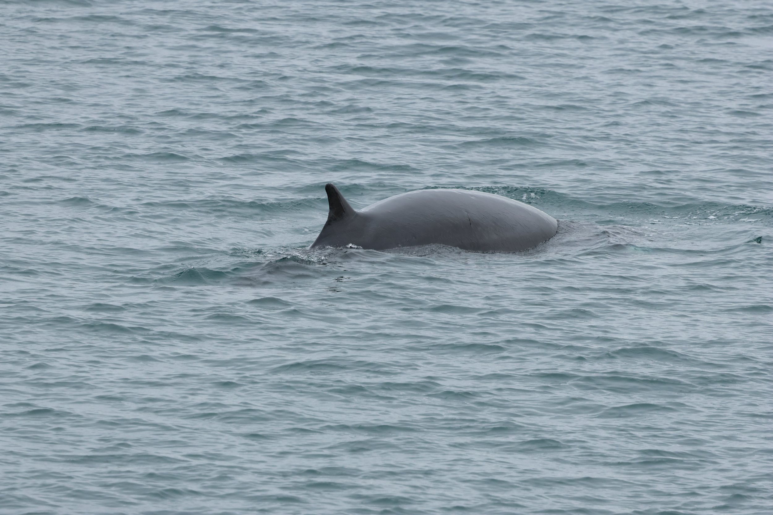Wednesday, 26 July 2023