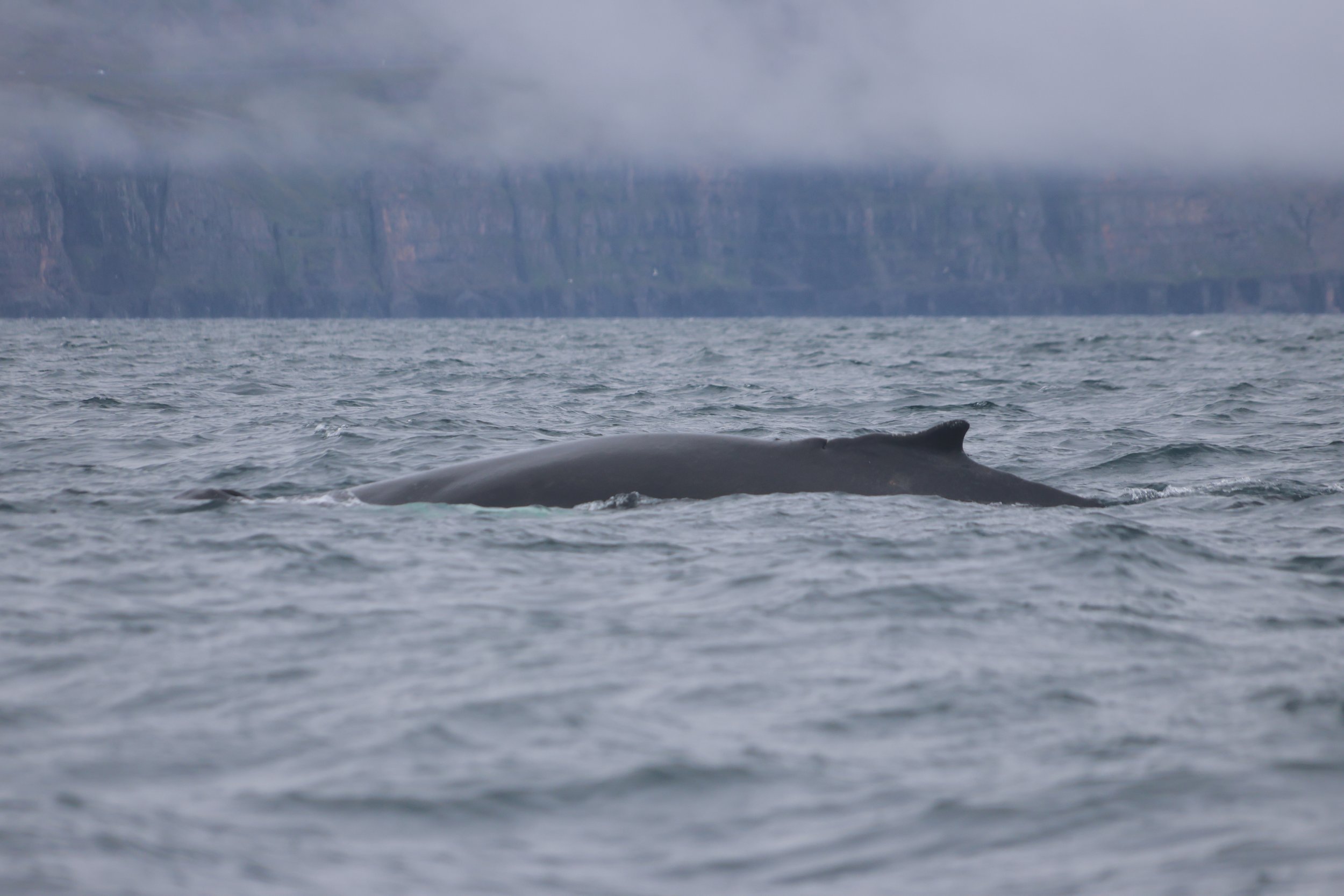 Wednesday, 2 August 2023