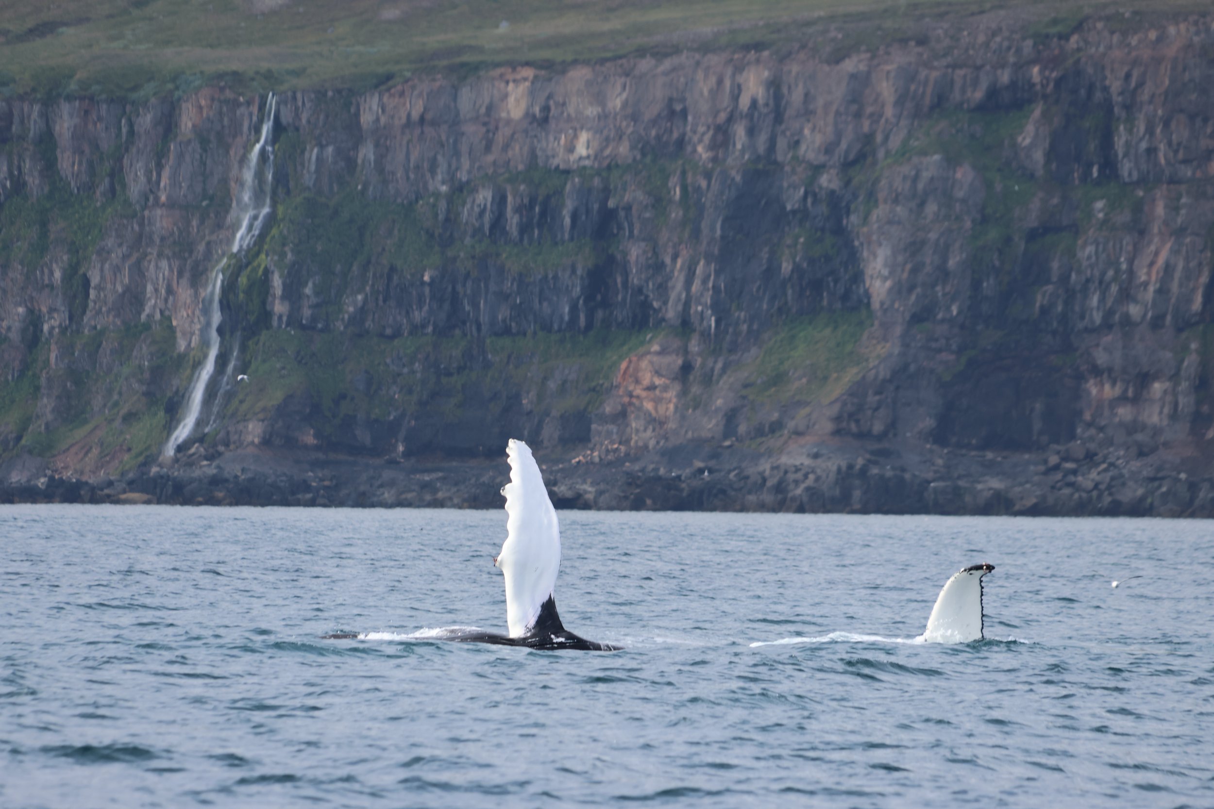 Thursday, 3 August 2023