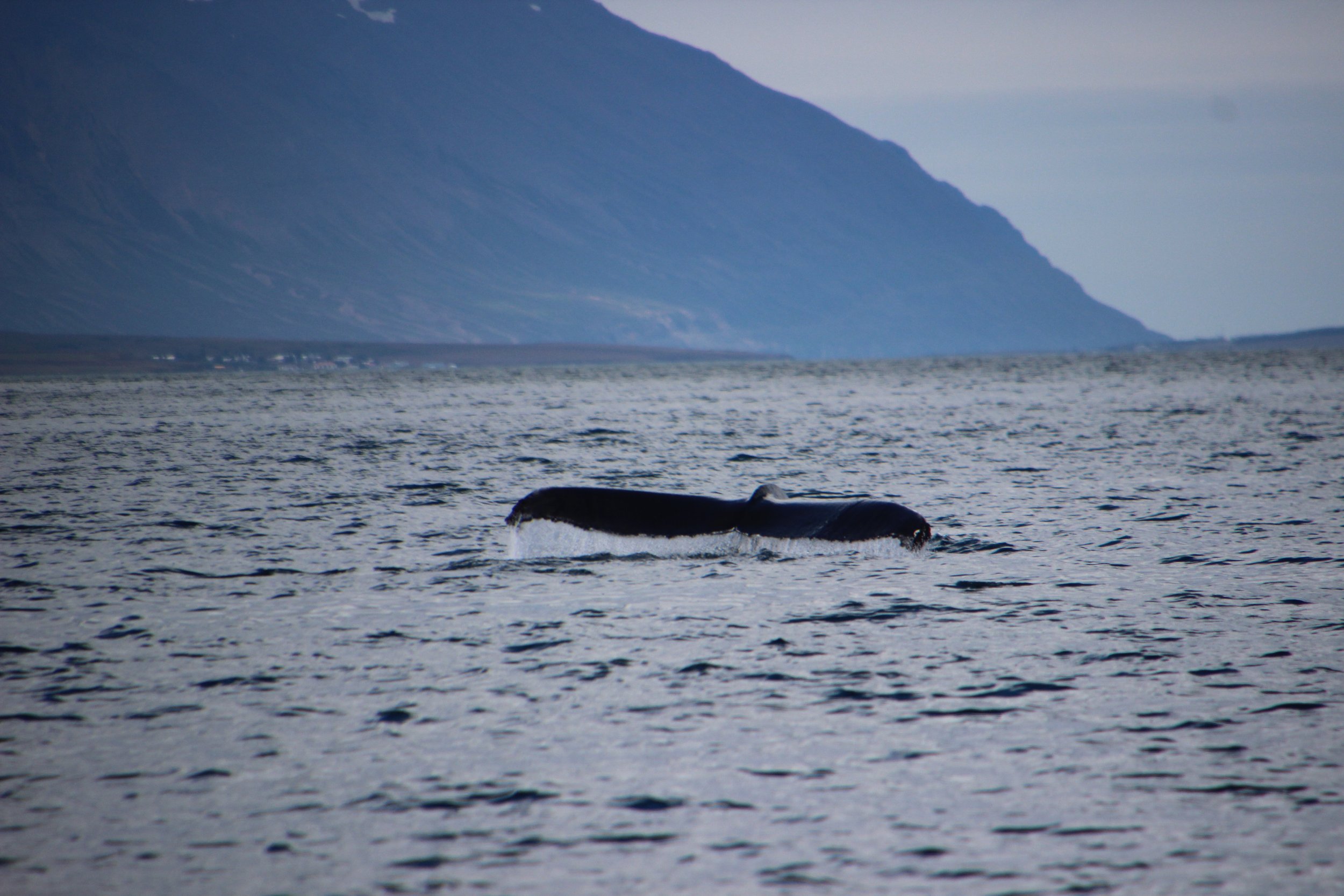 Wednesday, 16 August 2023