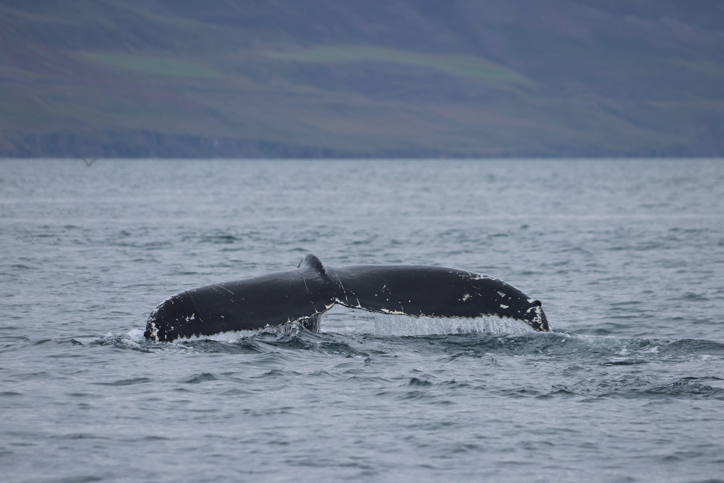Wednesday, 30 August 2023
