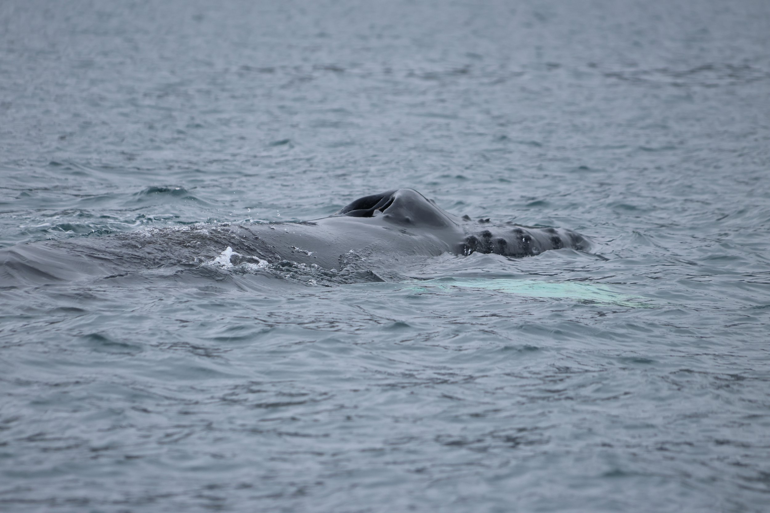 Wednesday, 30 August 2023