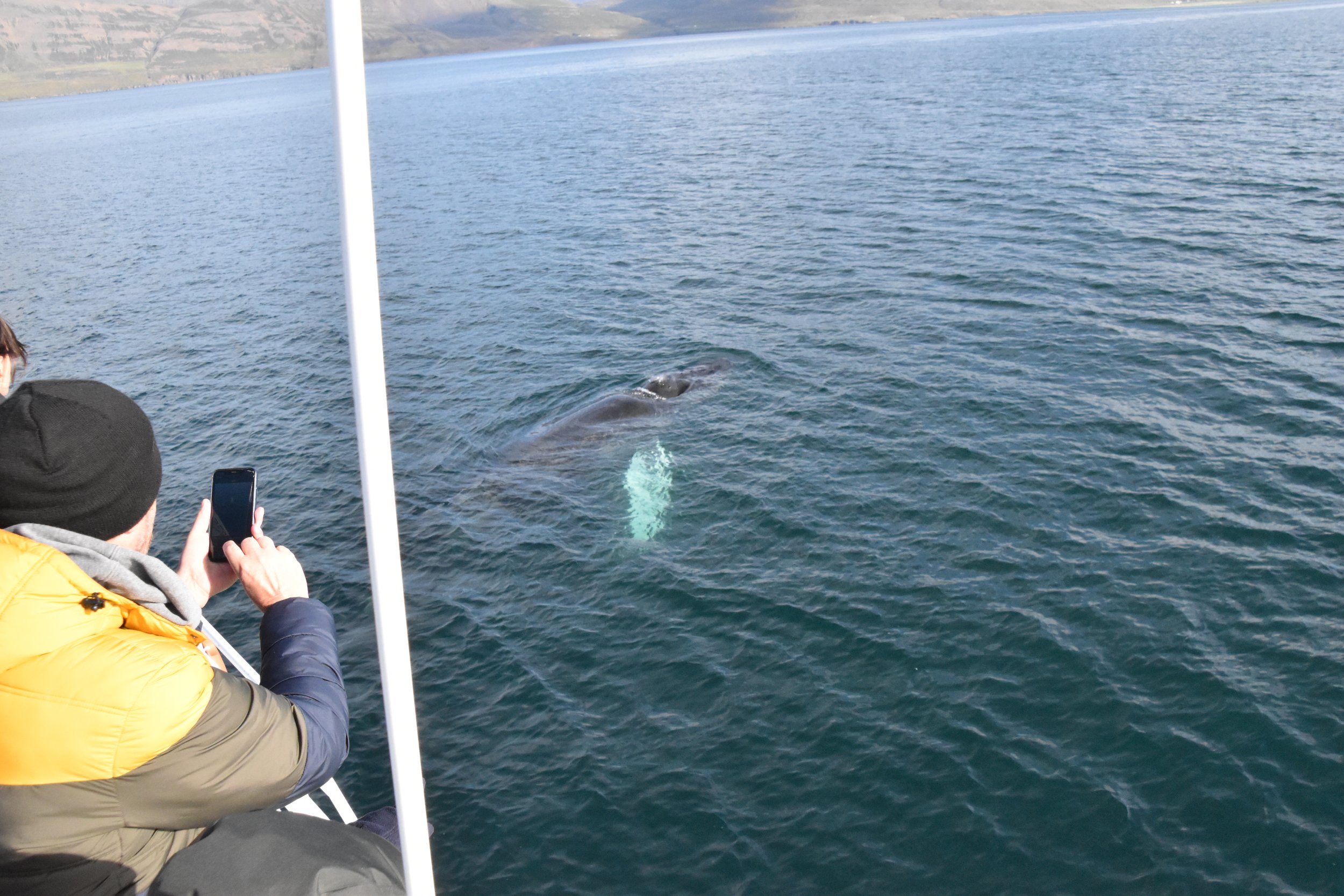 Tuesday, 5 September 2023