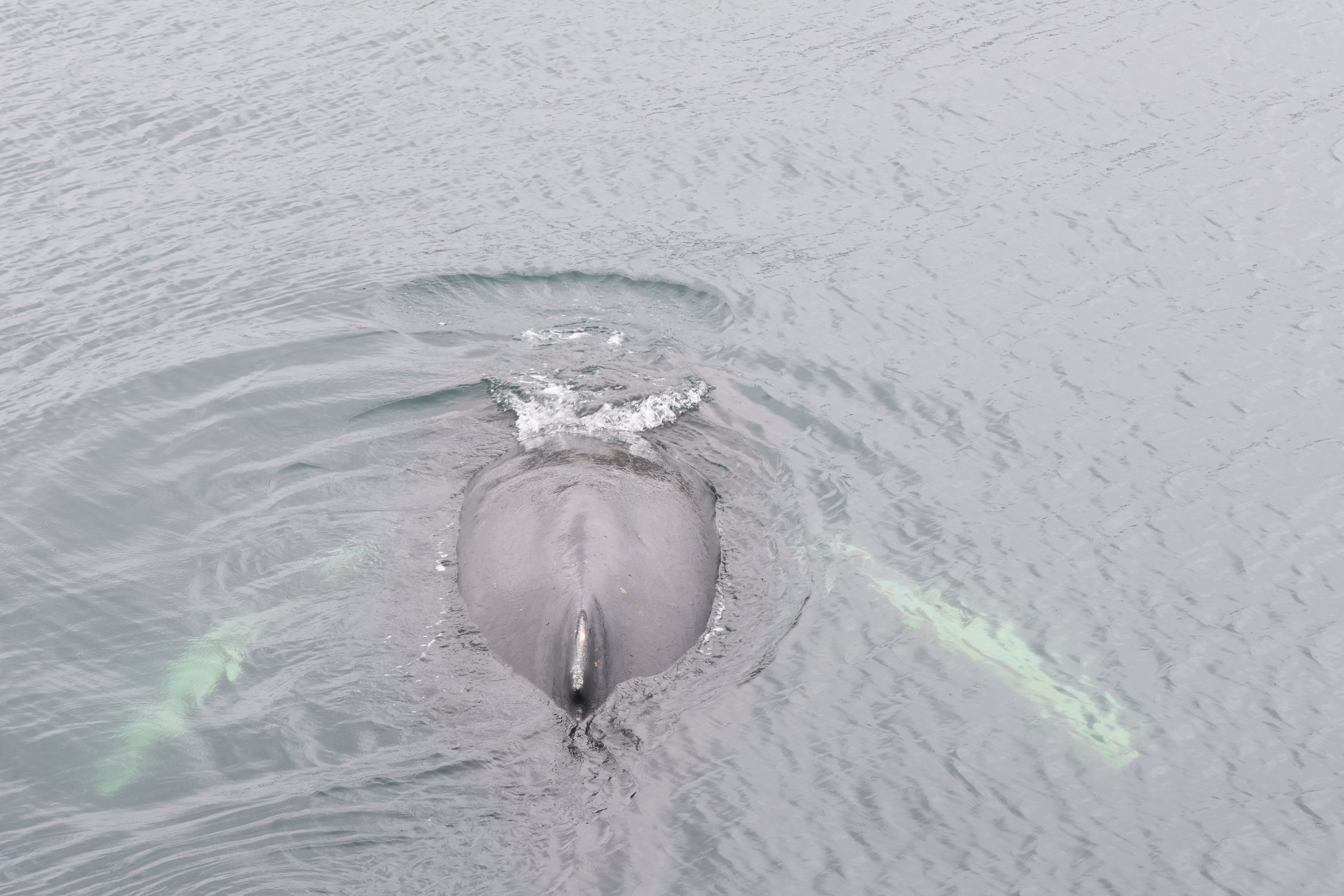 Thursday, 7 September 2023