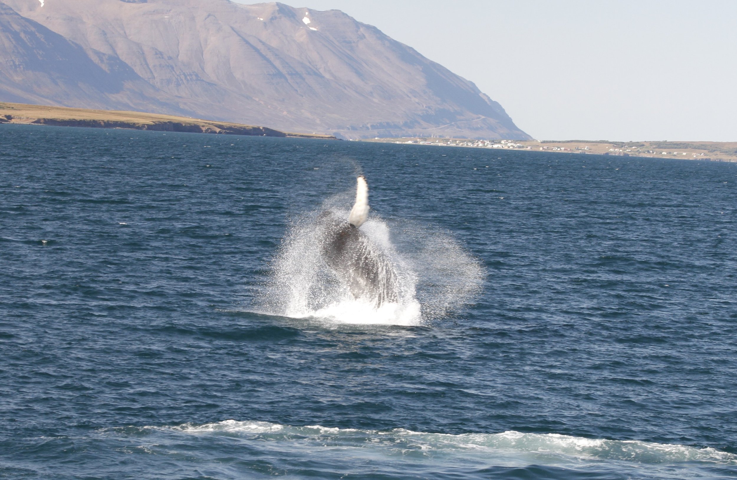 Monday, 11 September 2023