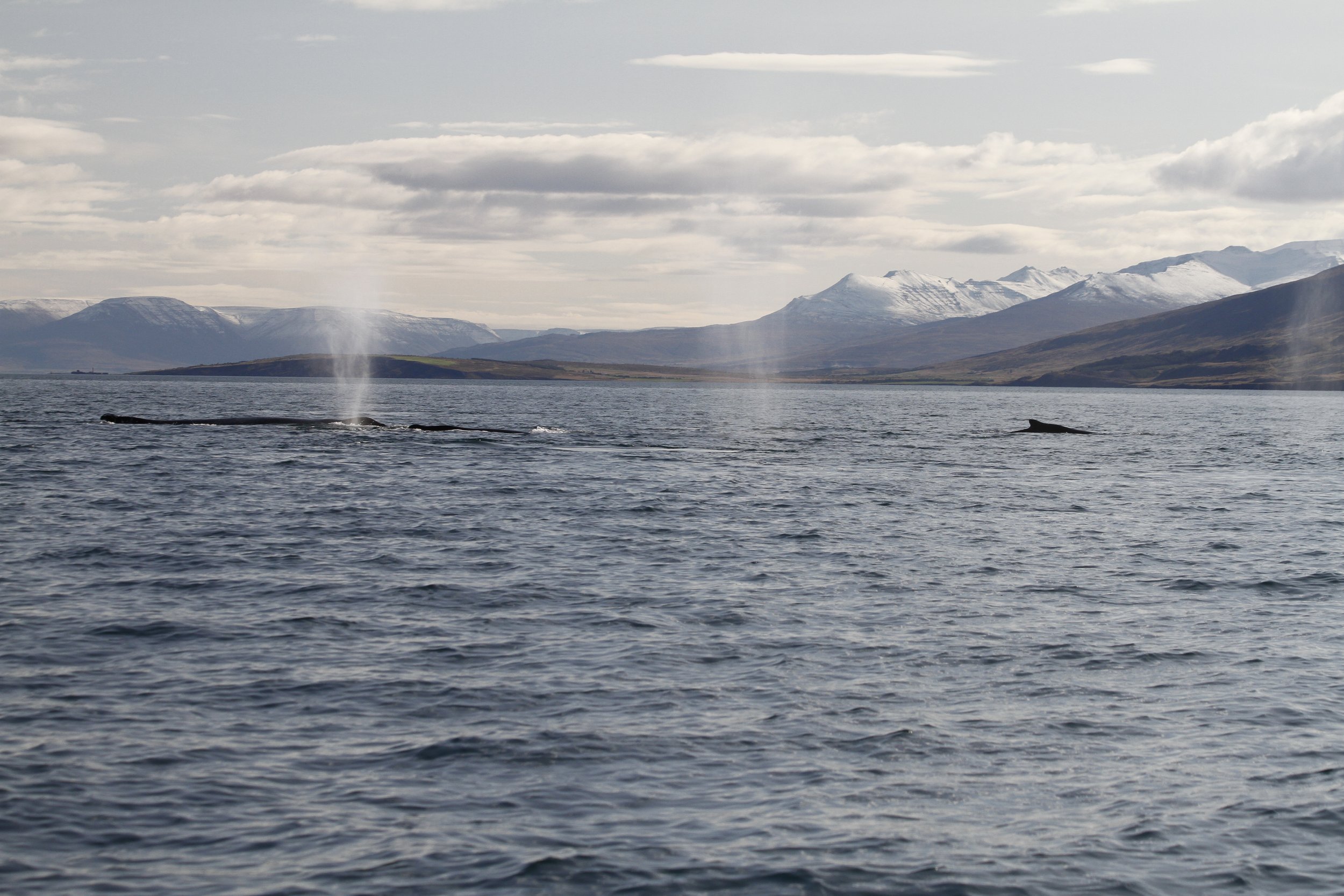 Wednesday, 13  September 2023