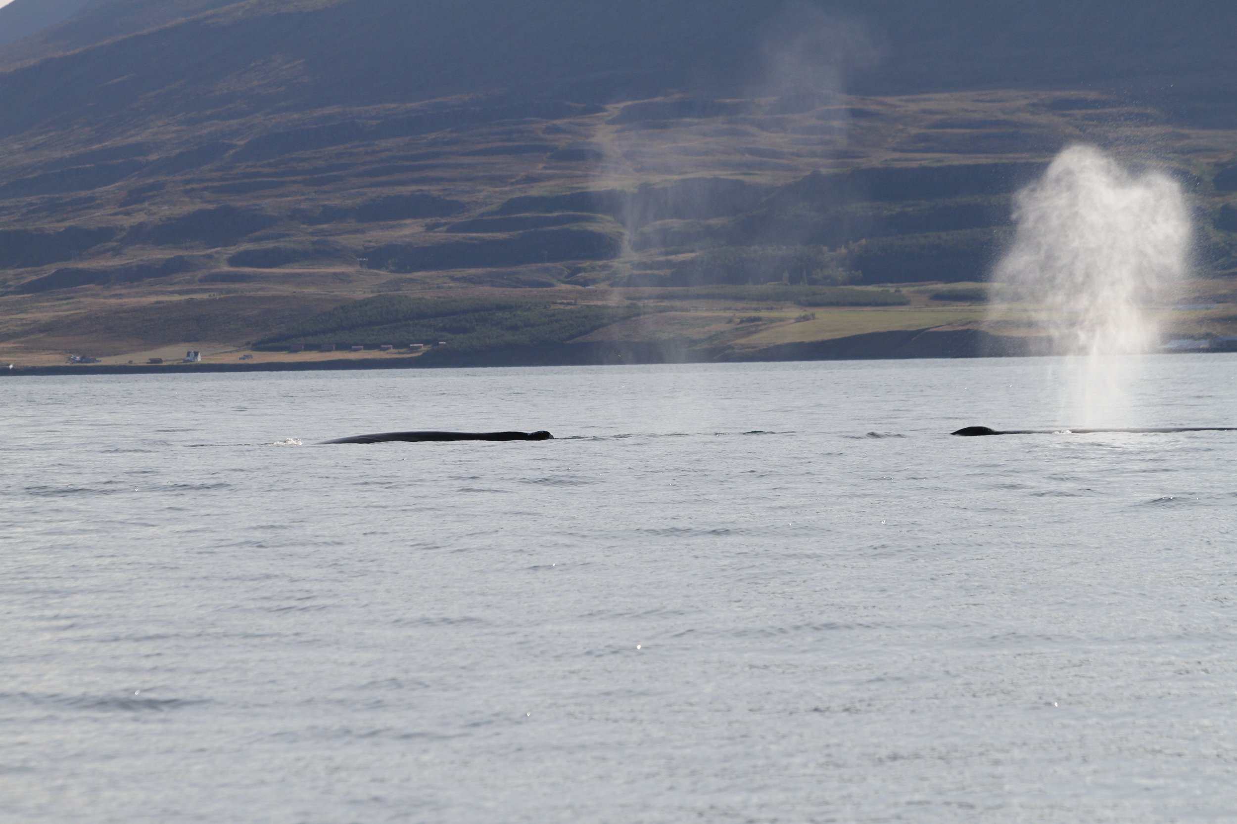 Wednesday, 13  September 2023