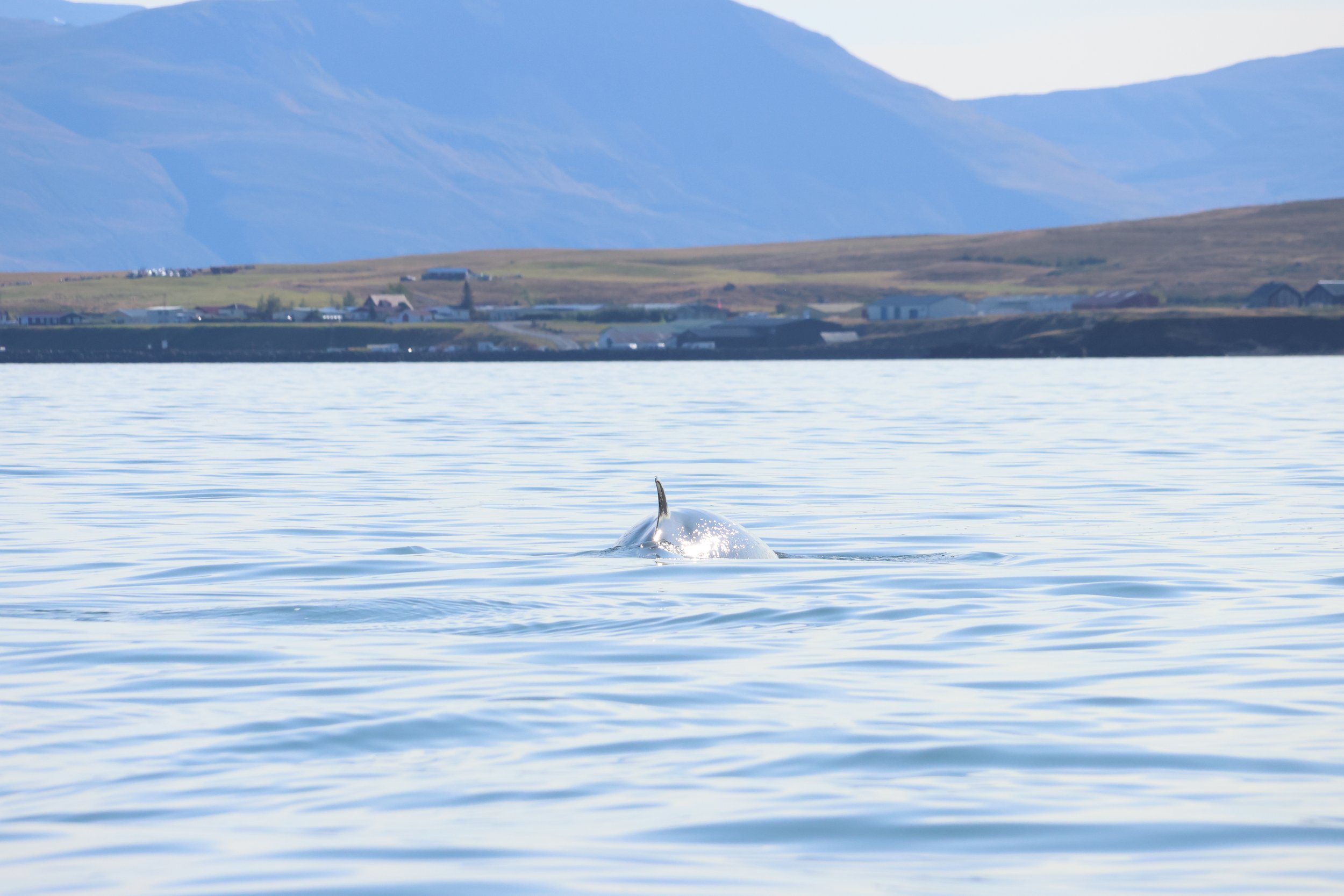 Thursday, 14 September 2023