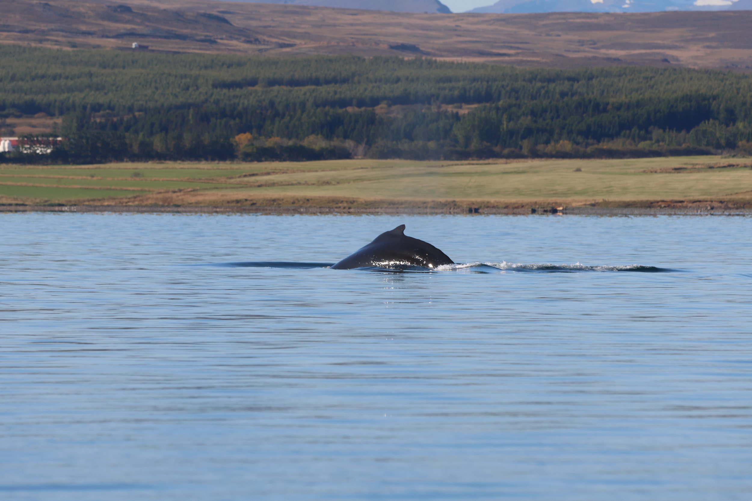 Thursday, 14 September 2023