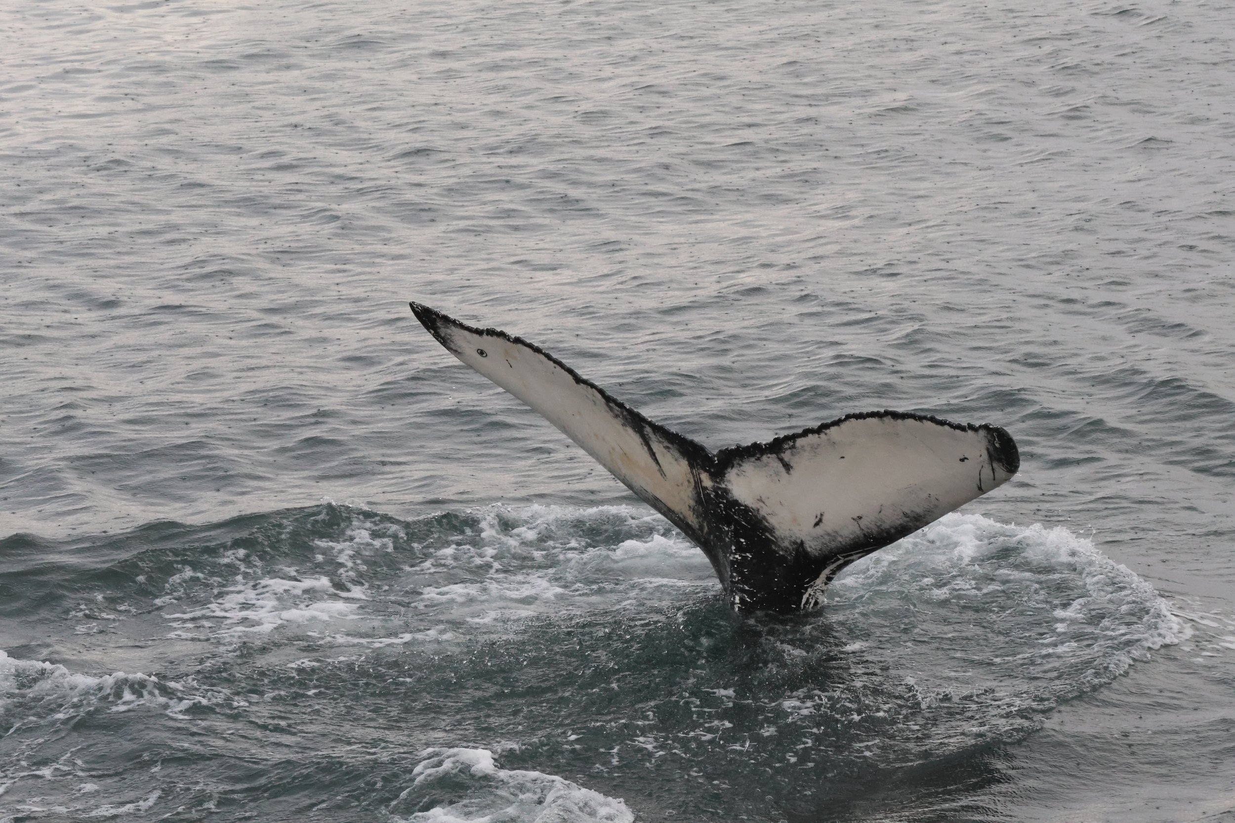 Wednesday, 20 September 2023