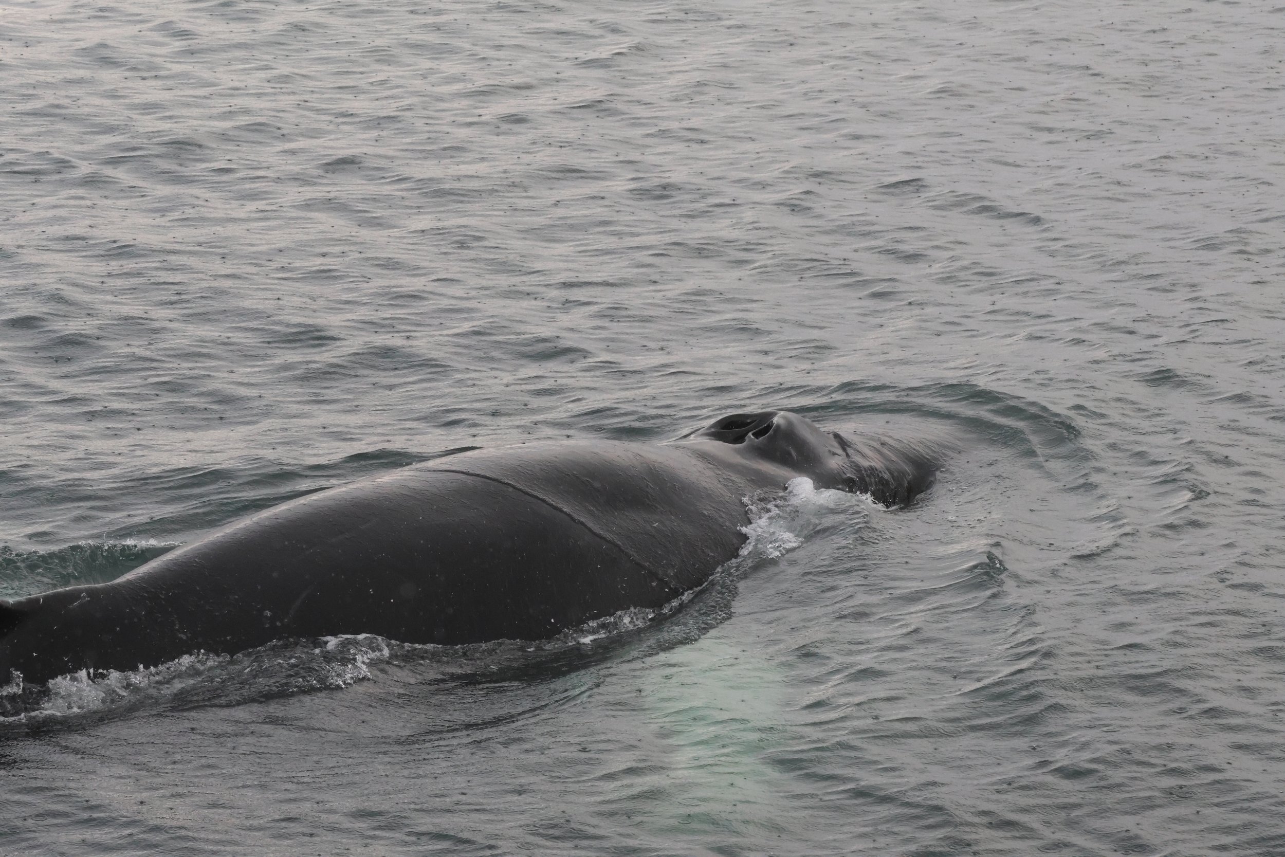 Wednesday, 20 September 2023