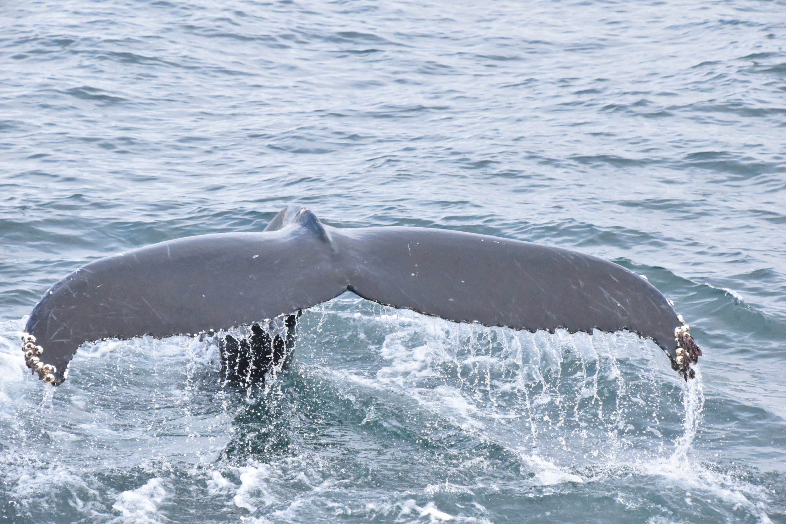 Wednesday, 20 September 2023