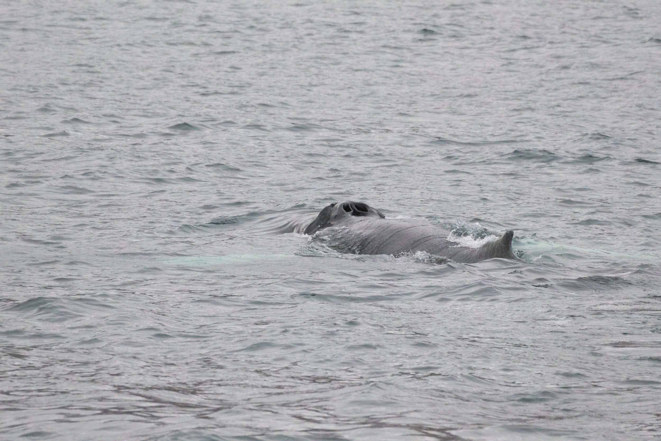 Tuesday, 26 September 2023
