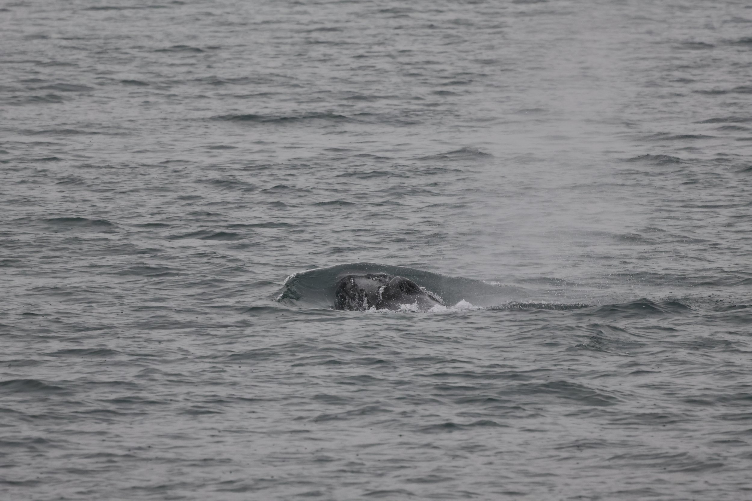 Tuesday, 26 September 2023