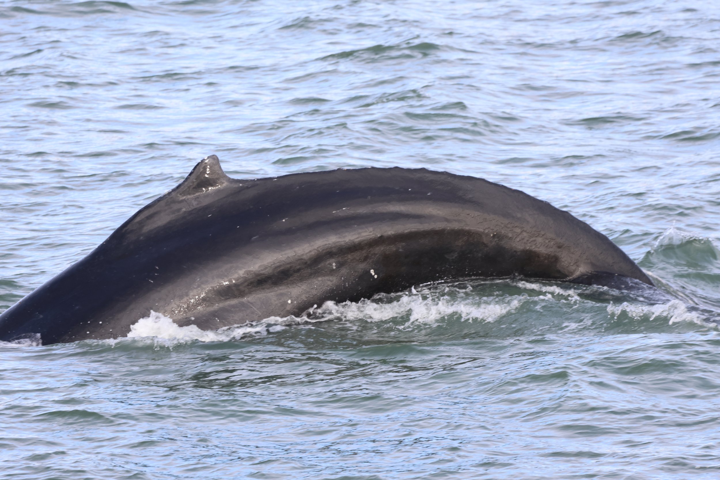 Wednesday, 27 September 2023