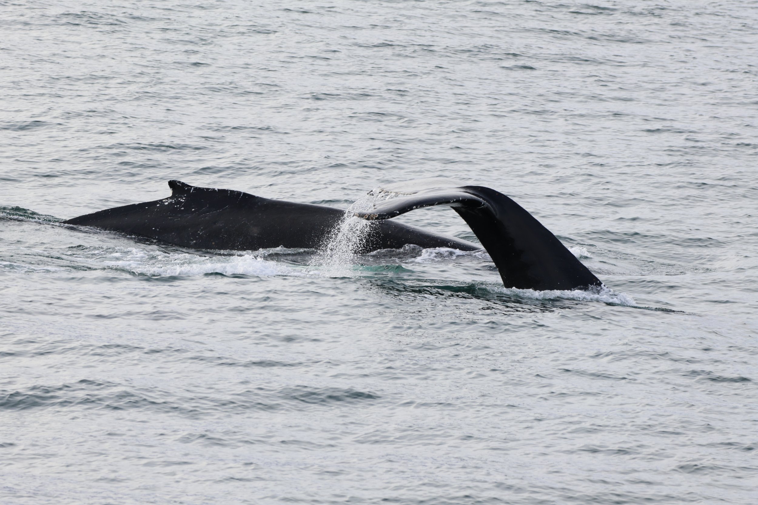 Wednesday, 27 September 2023