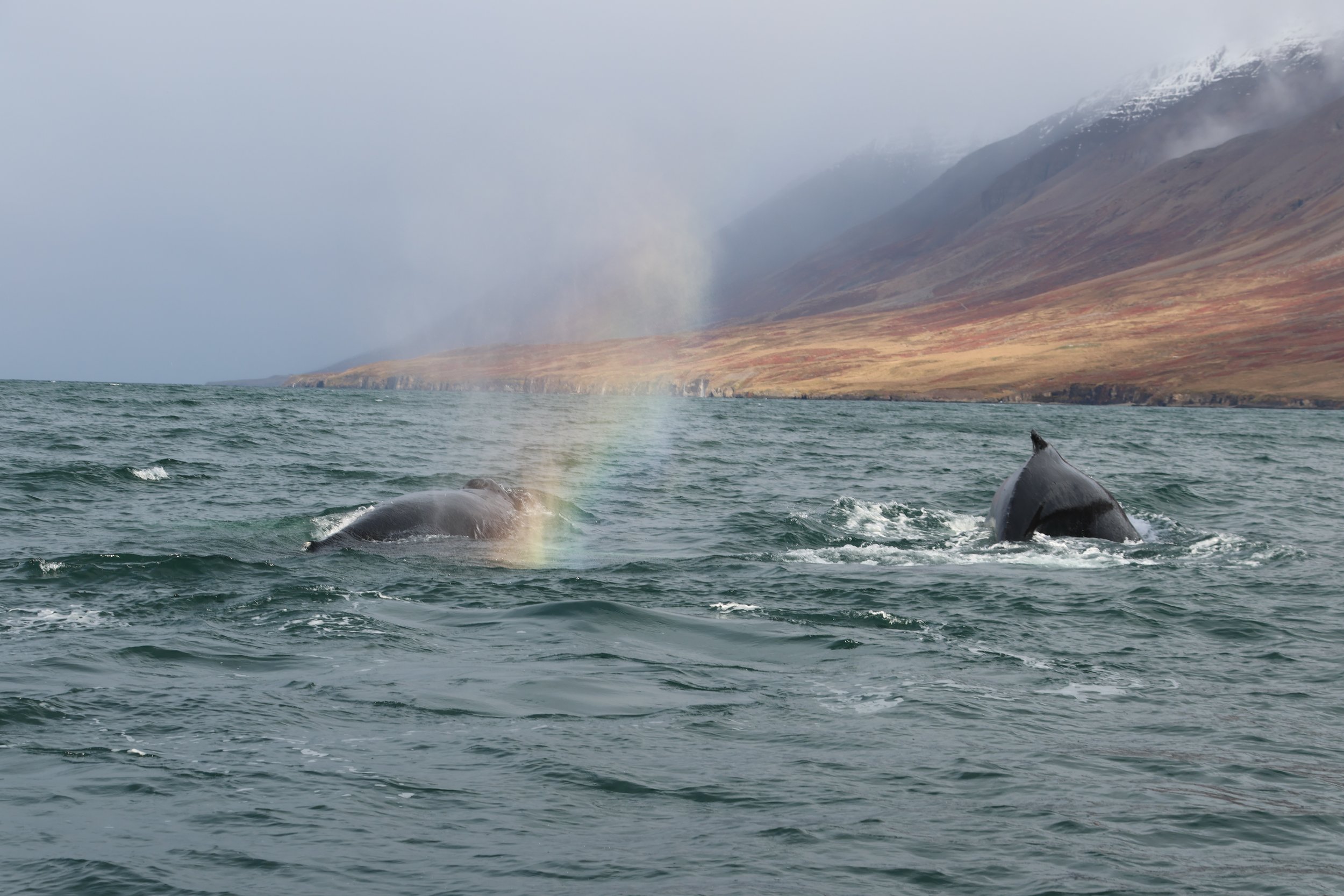 Thursday, 28 September 2023
