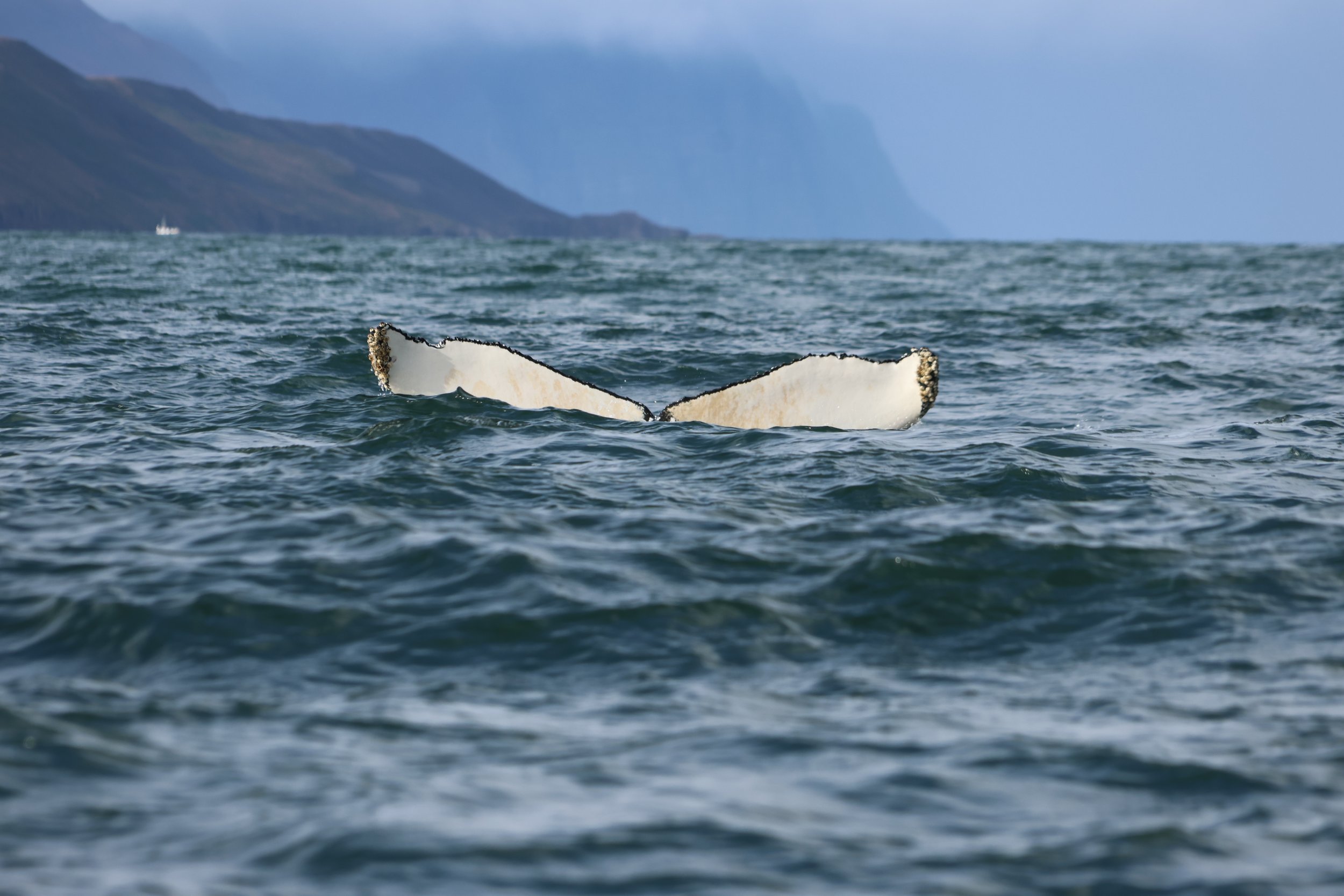 Thursday, 28 September 2023