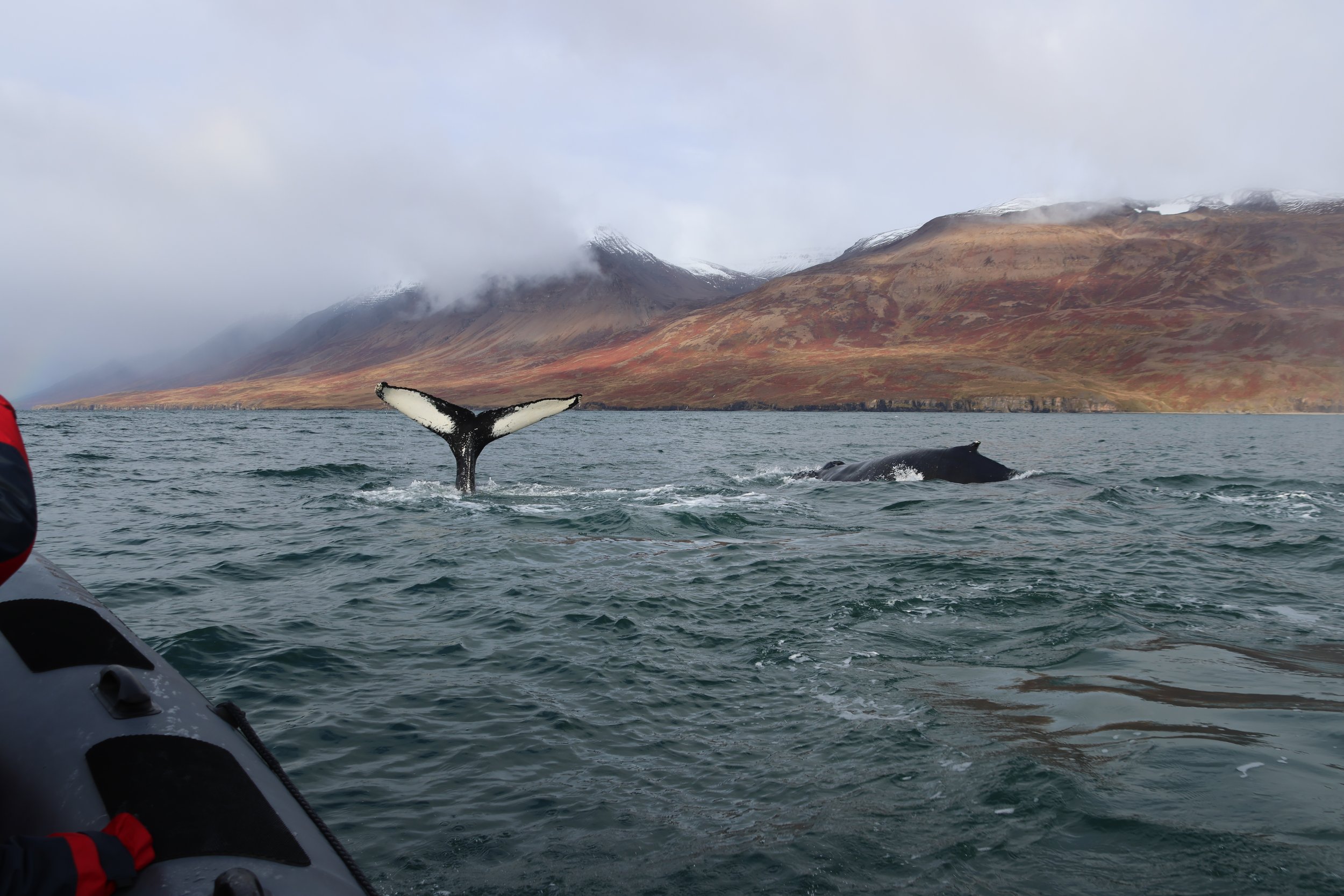 Thursday, 28 September 2023