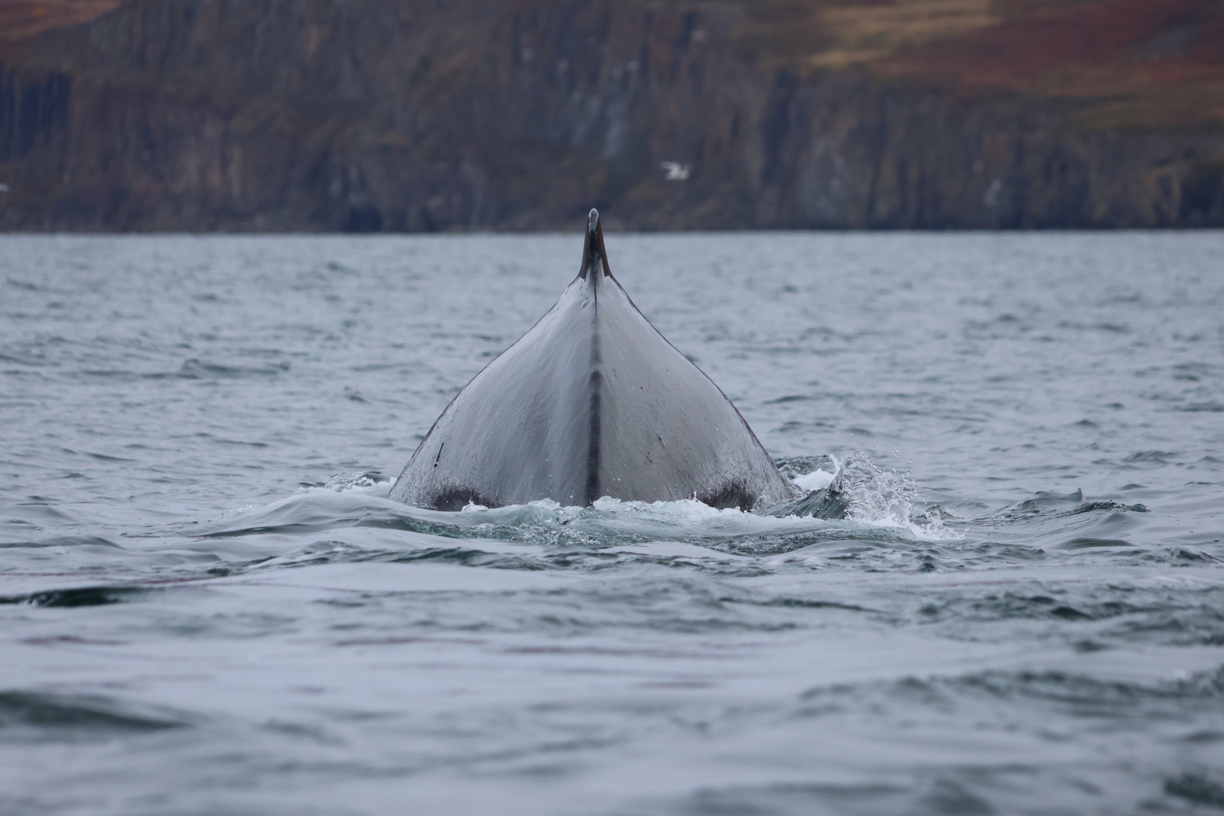 Thursday, 5 October 2023